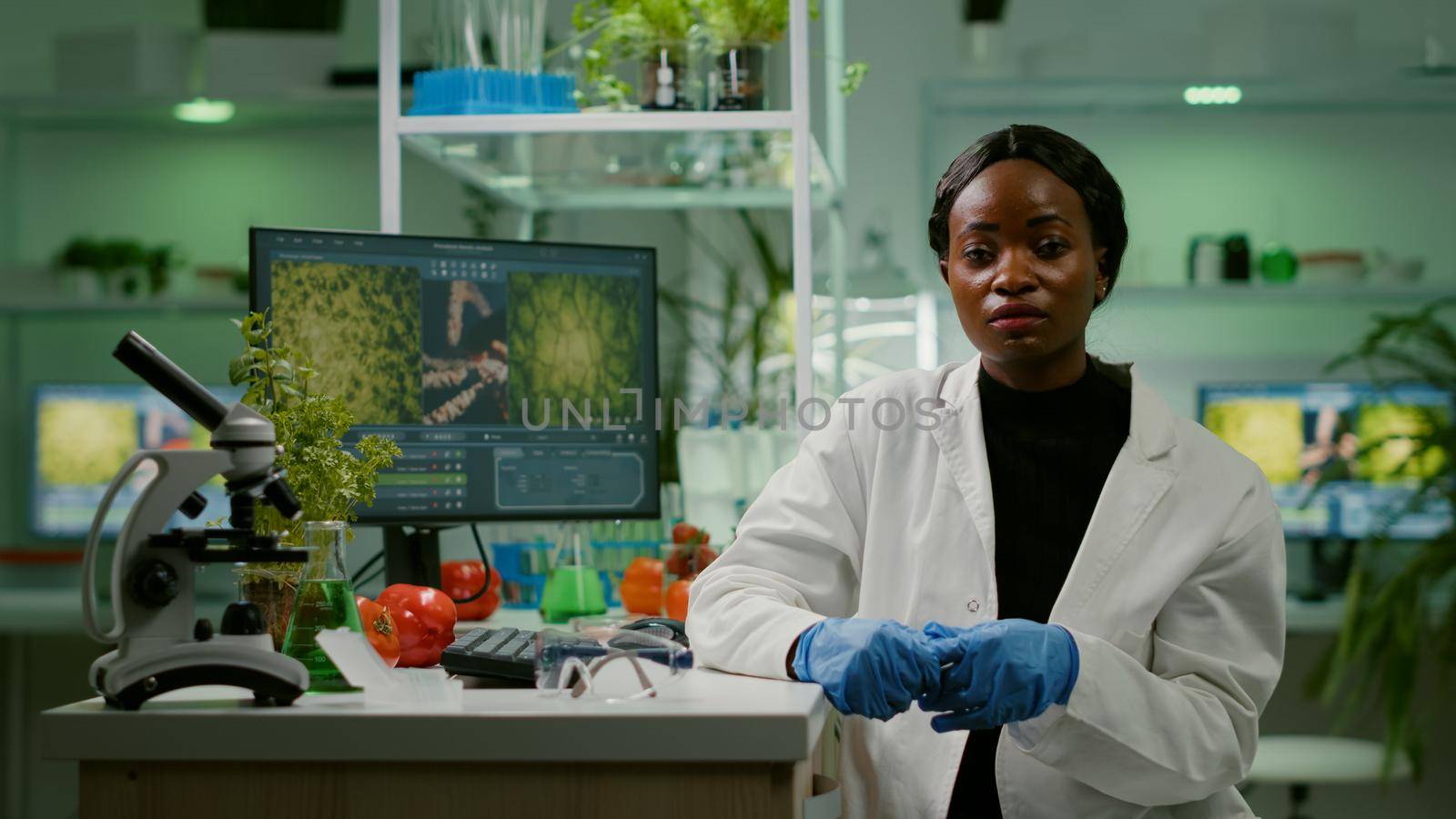 Pov of botanist researcher woman explaining botany experiment during online videocall meeting while sitting in pharmaceutical lab. Specialists team researching genetic mutation developing dna test