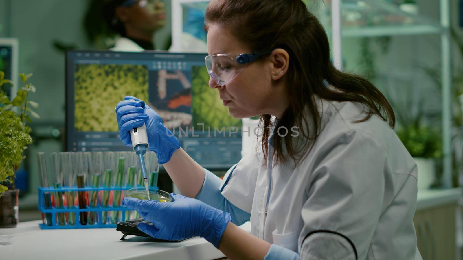 Biologist researcher using micropipette and petri dish to discovering gmo solution. Scientist chemist woman analyzing medical expertise working in pharmaceutical laboratory