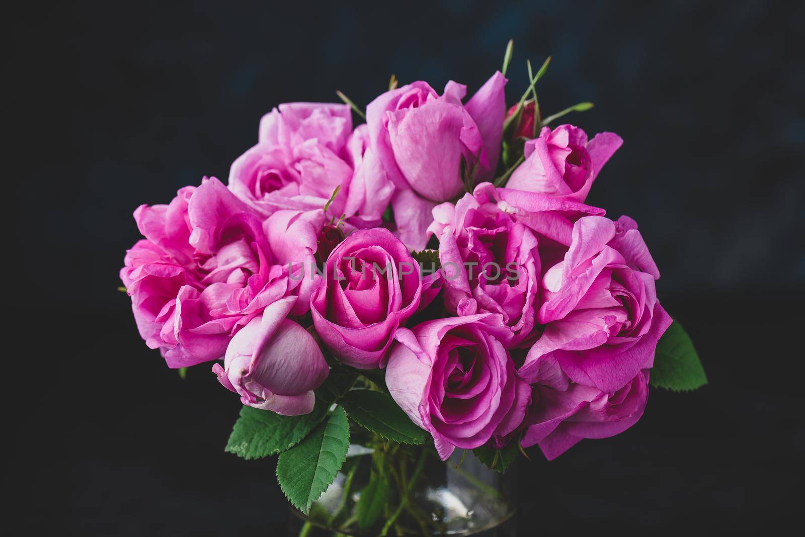 Bouquet of pink garden roses by Seva_blsv