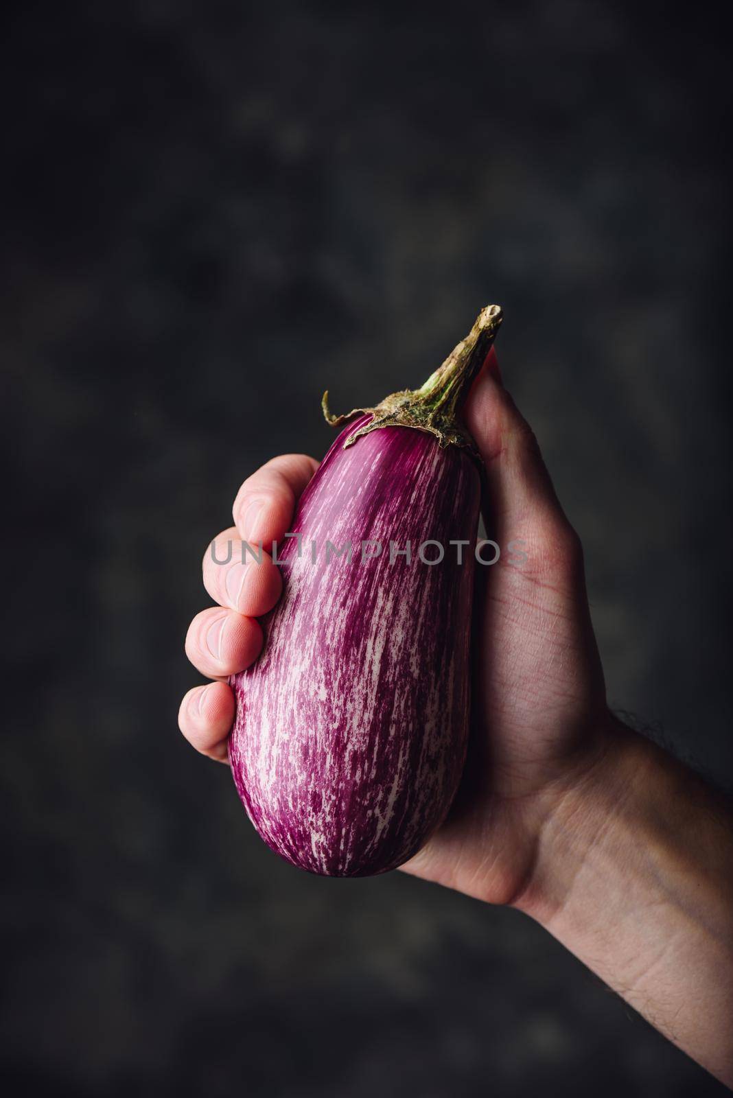 Fresh purple eggplant in hand on dark background