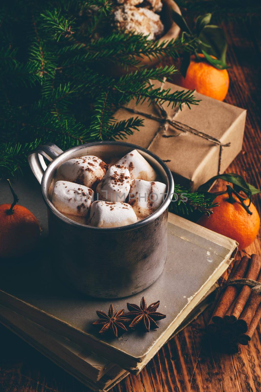 Hot chocolate with marshmallows by Seva_blsv