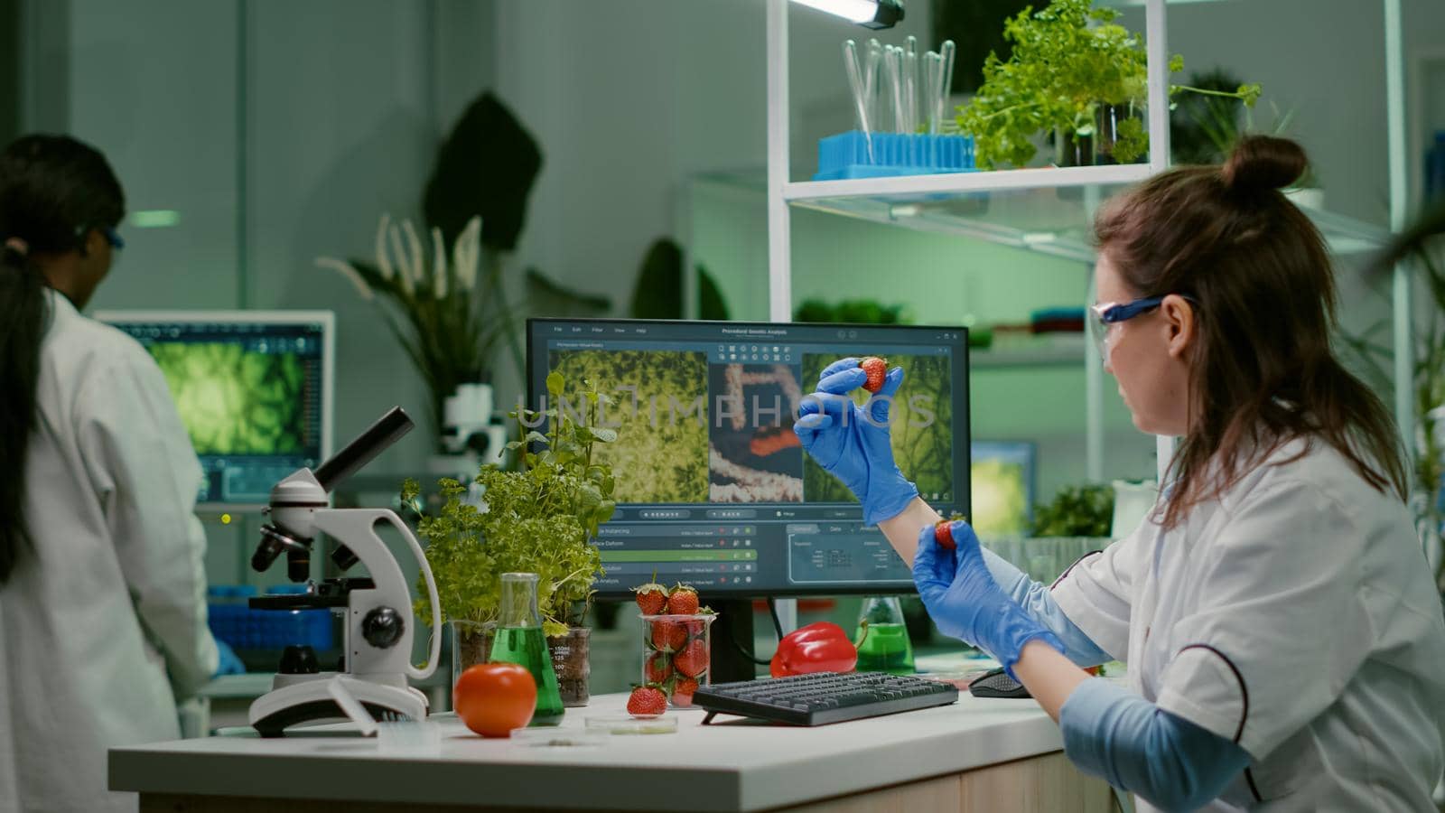 Scientist researcher injecting strawberry with pesticides by DCStudio
