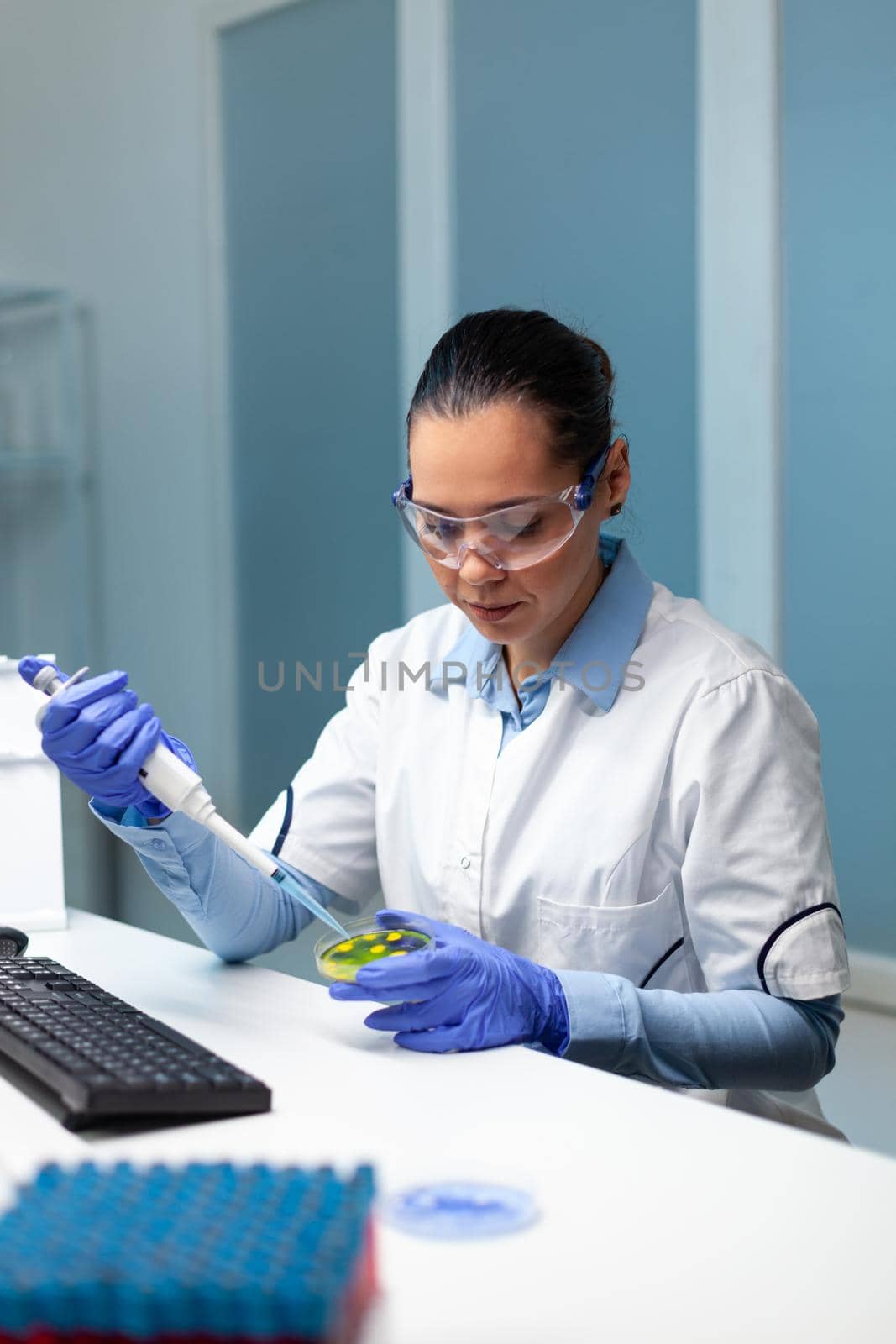 Biochemist researcher woman dropping liquid in petri dish with colony fungi by DCStudio