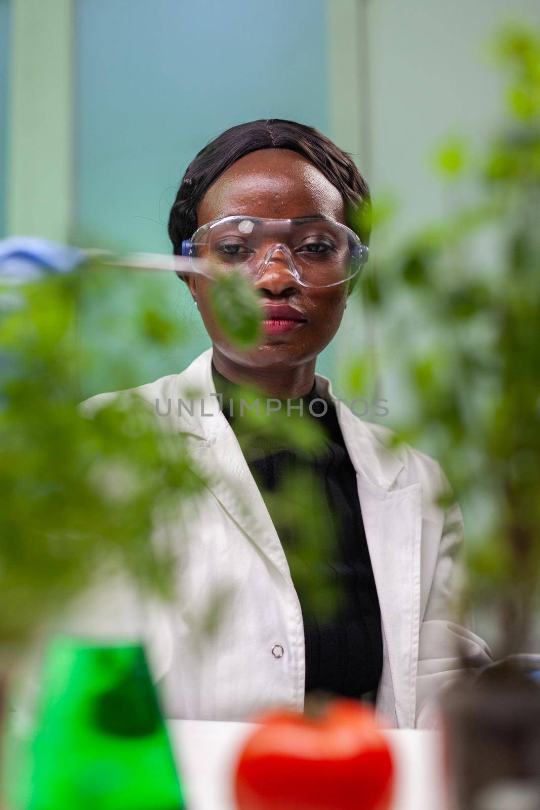 African researcher taking green leaf sample from petri dish putting under microscope by DCStudio