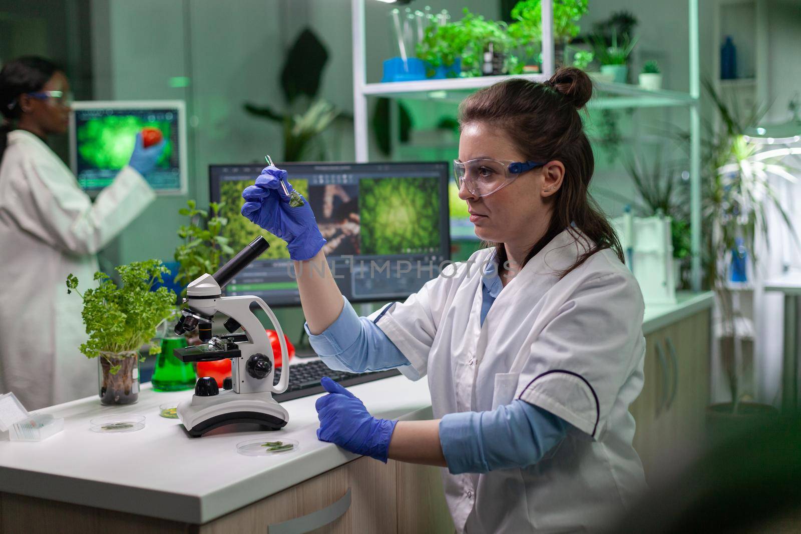 Scientist doctor analyzing botanical plants under microscope for chemical test. Biologist researcher specialist examining organic gmo leaf while working in pharmaceutical laboratory.