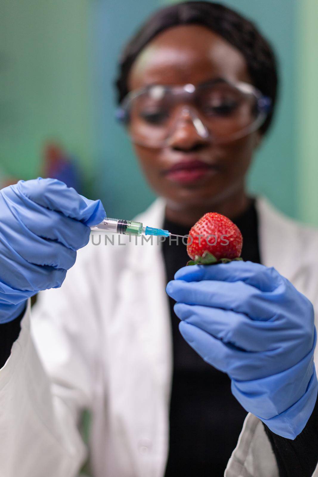 Closeup chemist scientist injecting nature strawberry with chemical pesticides using medical syringe for botany expertise. Biochemist working in biology laboratory testing health food.