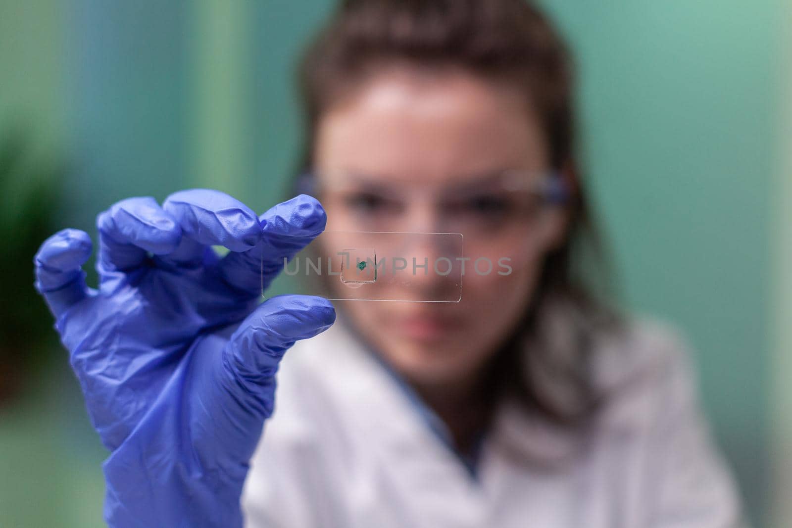 Closeup of scientist woman looking at test sample of leaf analyzing for biological experiment with organic plants. Biologist specialist discovering organic gmo plants while working in microbiology lab.