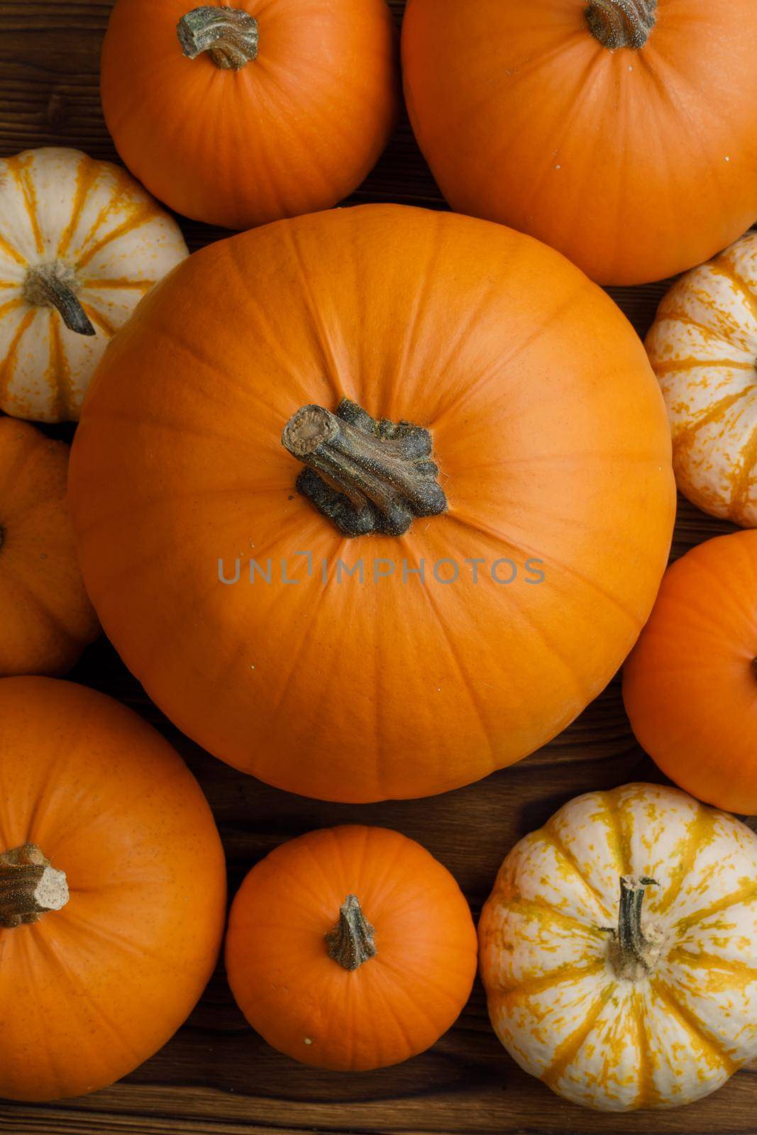 Many orange pumpkins background by Yellowj