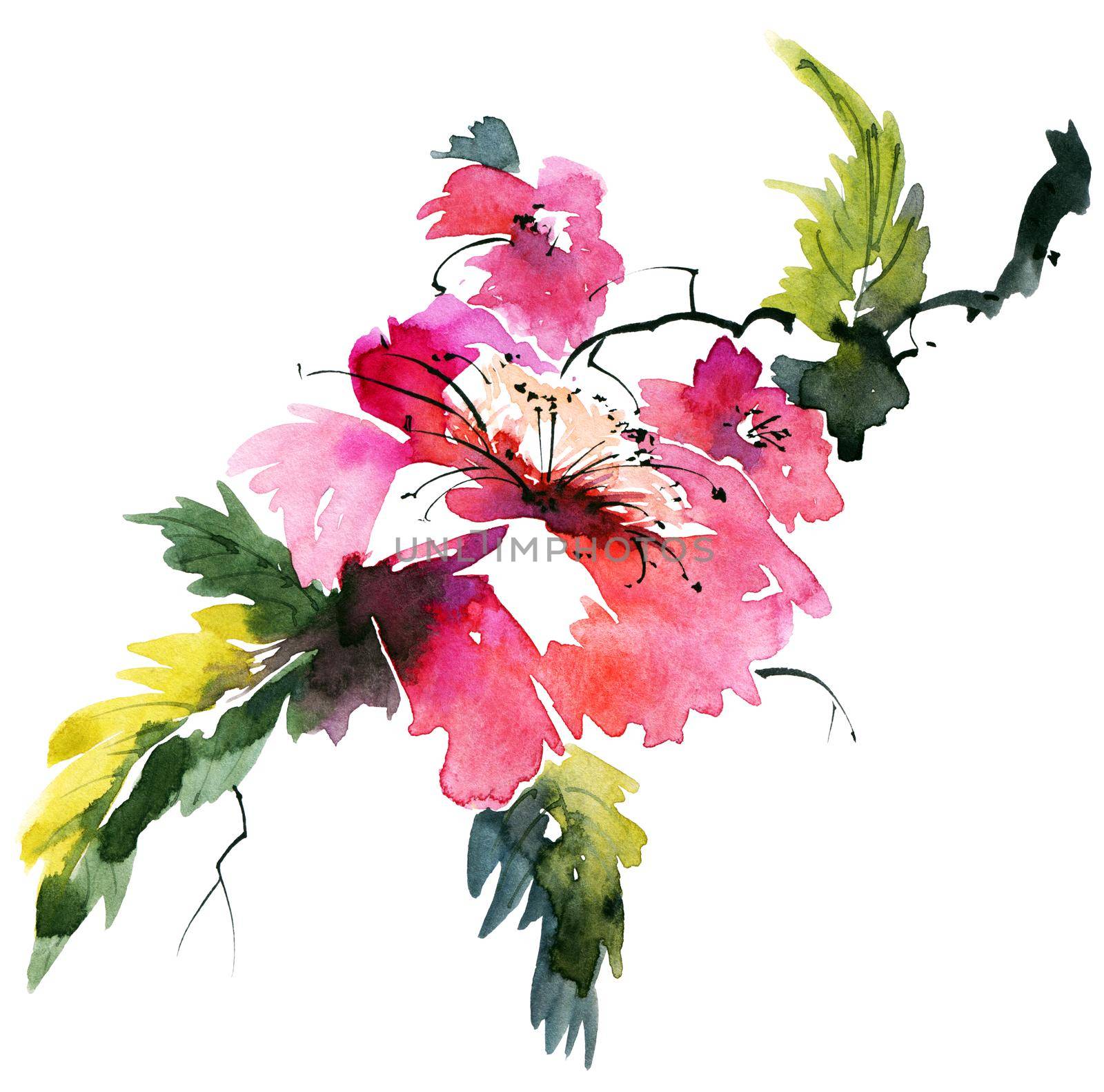 Watercolor hand-drawn branch with flowers and leaves on white background