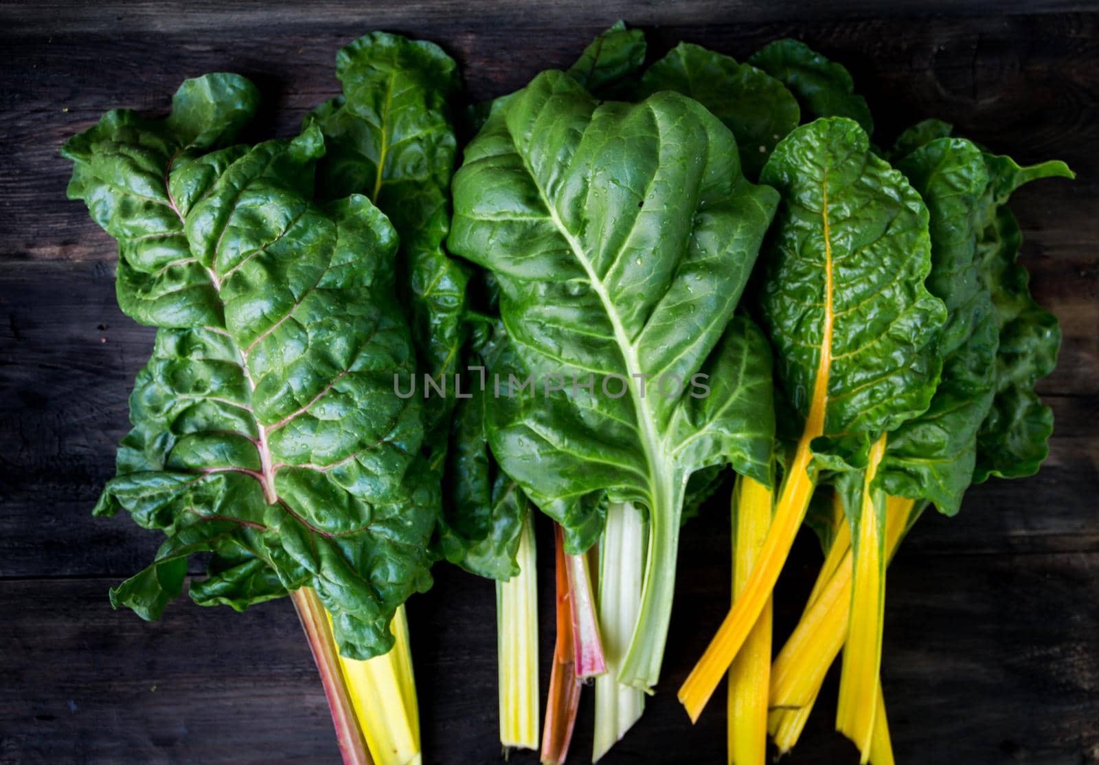 colorful assorted chard leaves from the organic garden