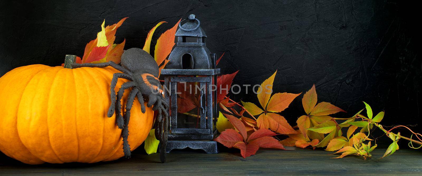 Halloween panorama with creepy spider on pumpkin and fall leaves by NetPix