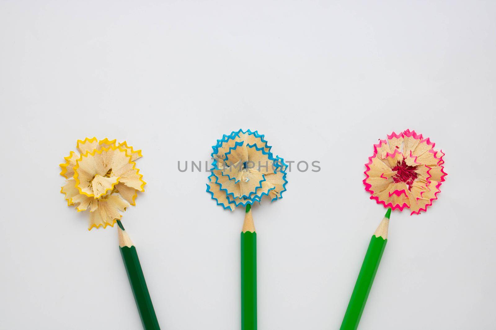 Colored wooden pencils, shavings lined with flowers, isolated on a white background. Old wooden pencils with garbage, shavings