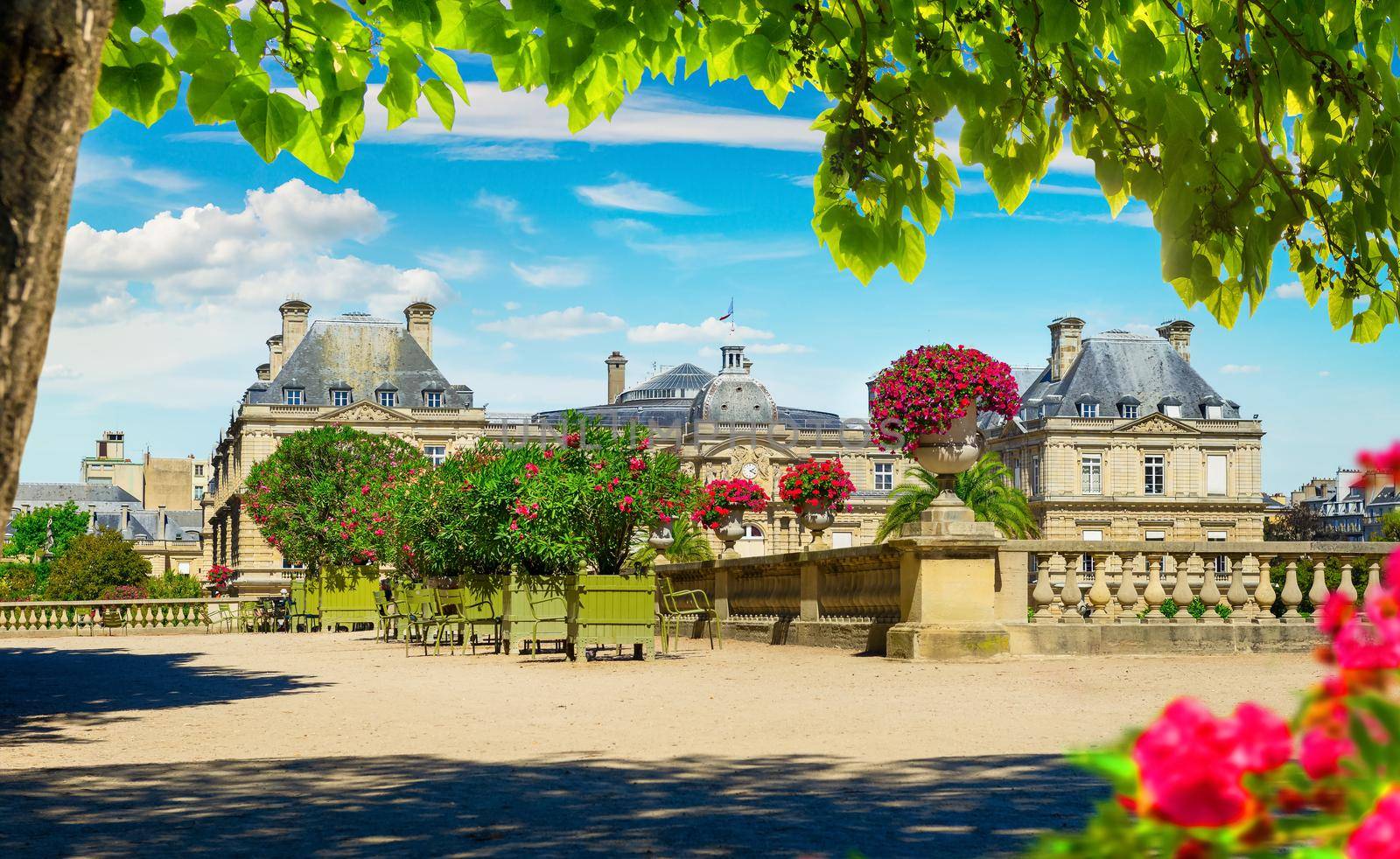 Luxembourg Palace and flower beds in summer, Paris