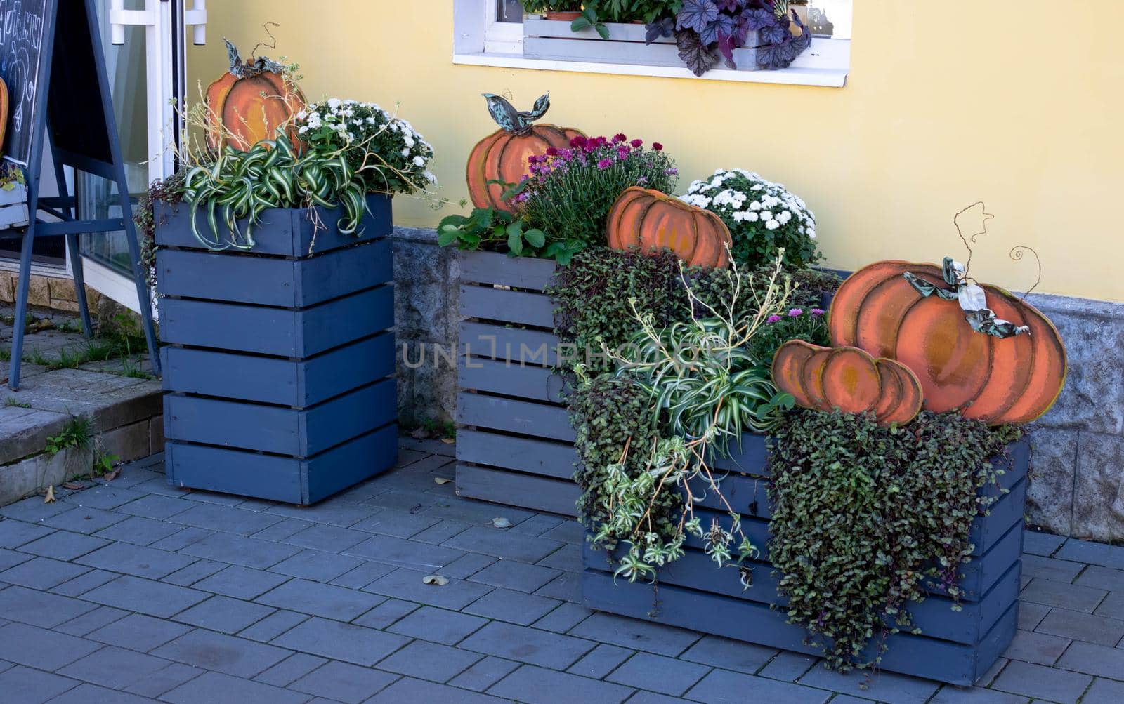 Decoration in the yard for Halloween.Orange wooden pumpkins, flowers in gray wooden boxes.