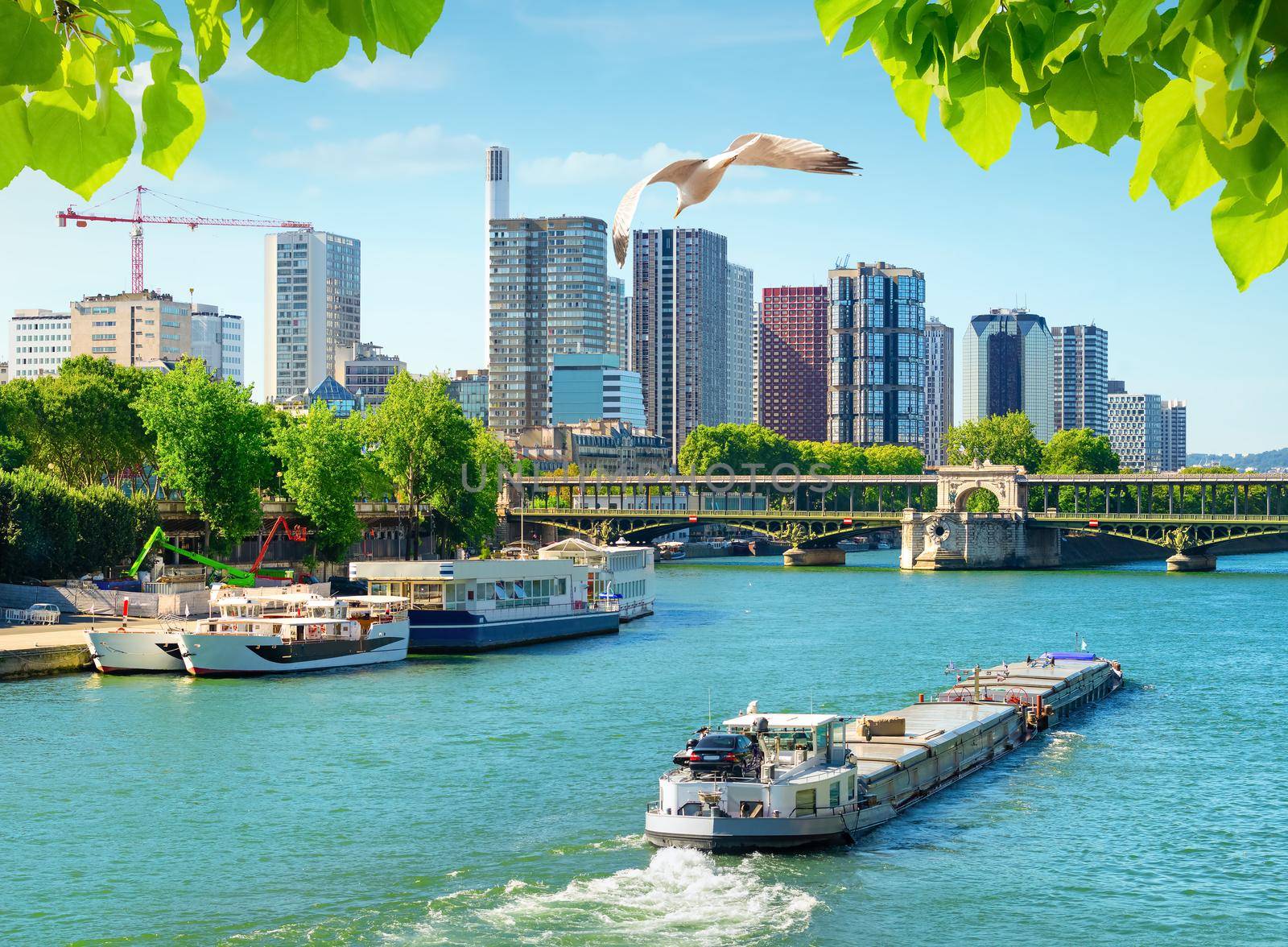 Seine river in Paris at sunny summer day