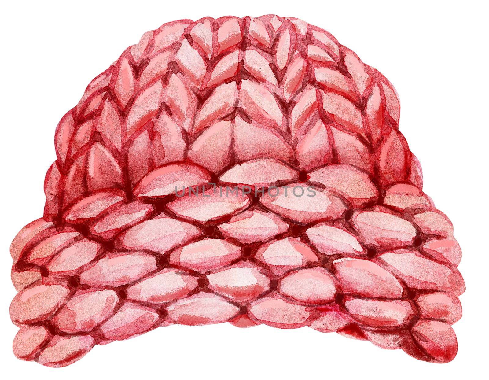Knitted winter hat. Watercolor illustration of pink hat. Romantic christmas garment