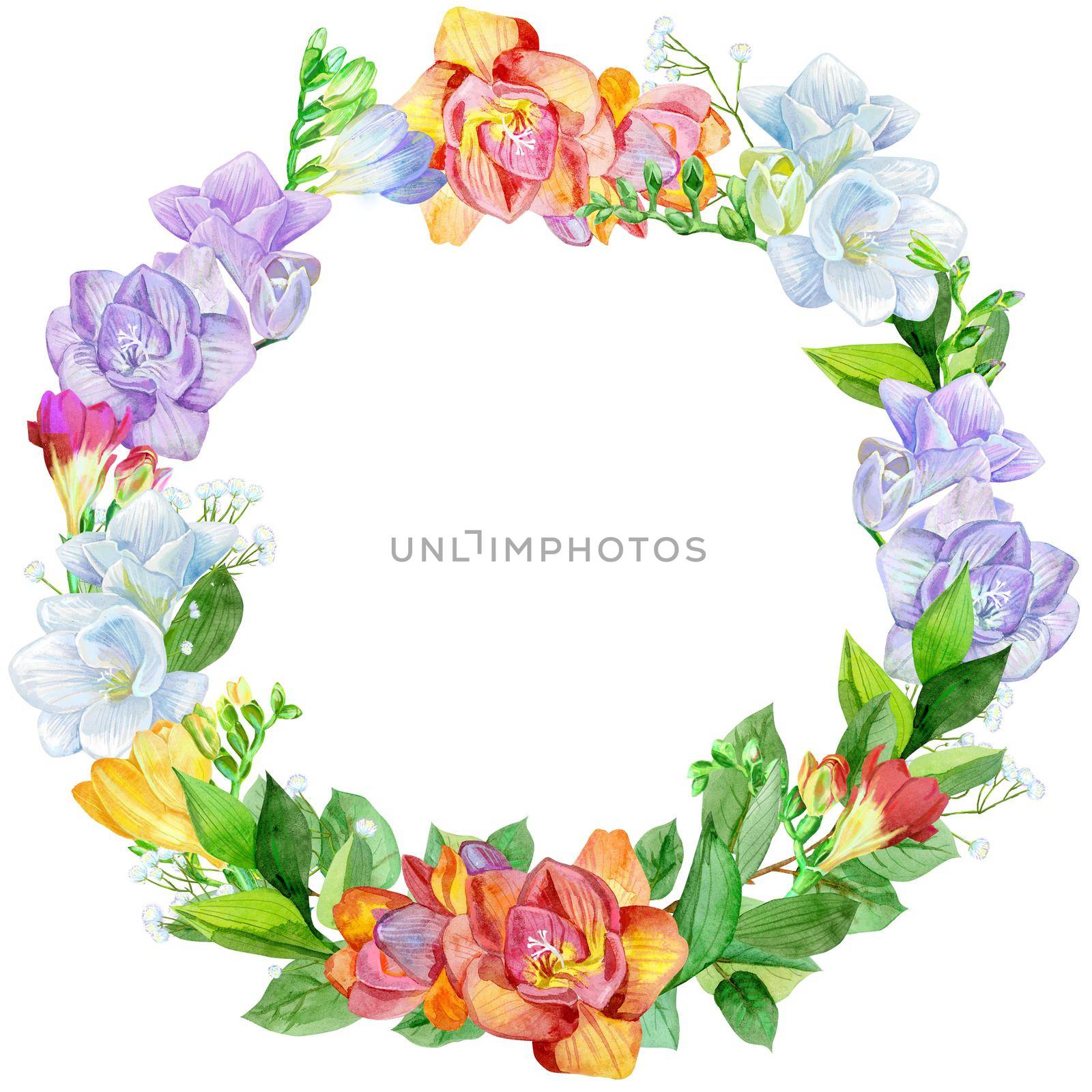 Watercolor illustration freesia wreath. Vintage watercolor colorful illustration on white backdrop. by NataOmsk