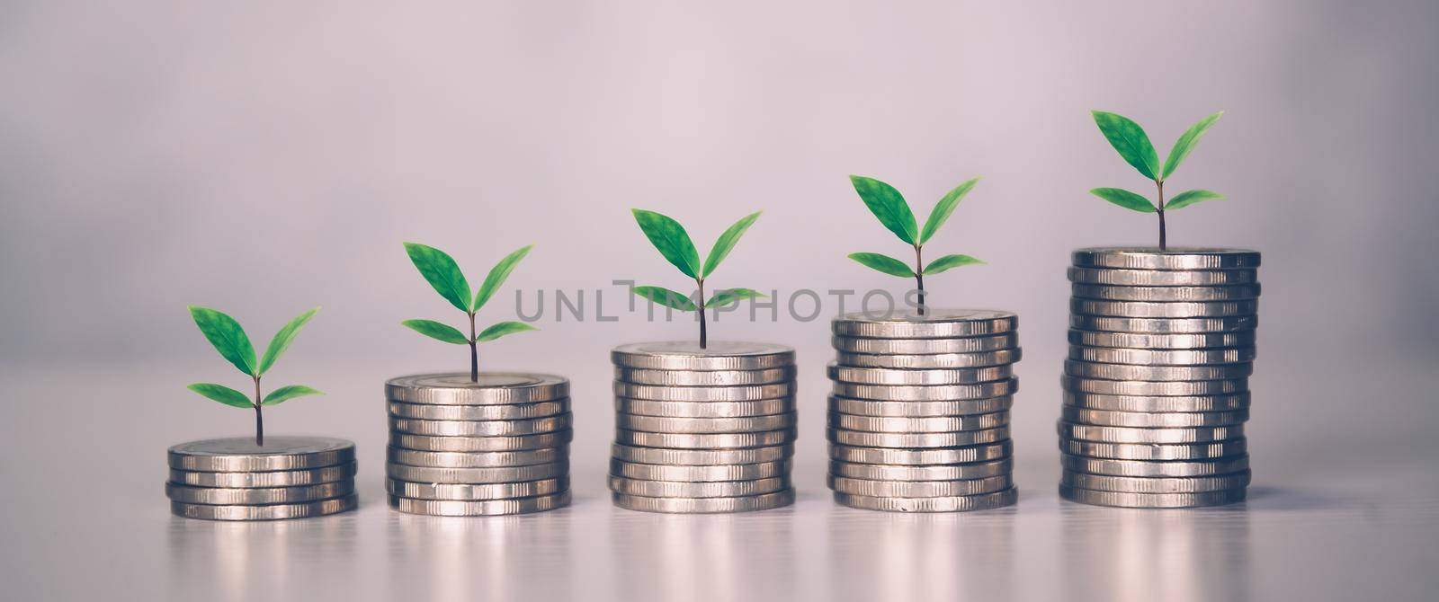 Coin stack with increase growth and leaf, finance and saving with tree, investment for profit and success, planning with financial, growing economy and fund, stock and income, business concept. by nnudoo