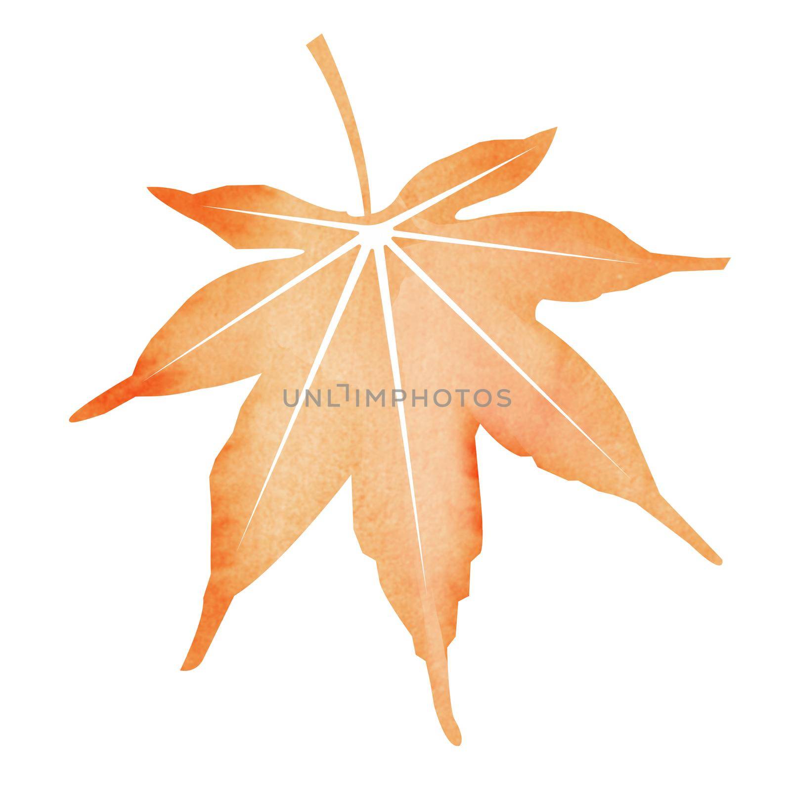 Summer motif watercolor painting illustration for summer greeting card etc. | maple leaf by barks