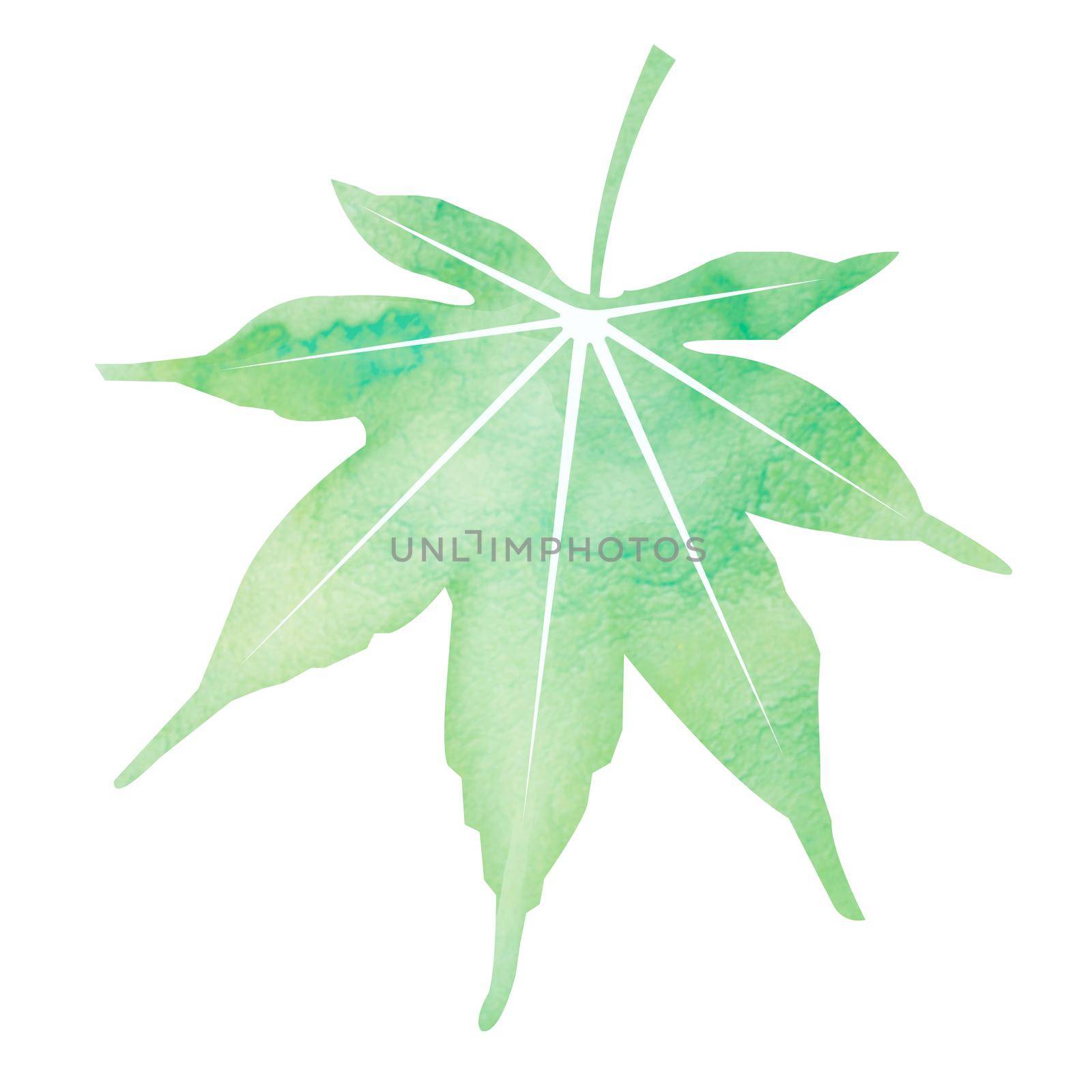 Summer motif watercolor painting illustration for summer greeting card etc. | maple leaf