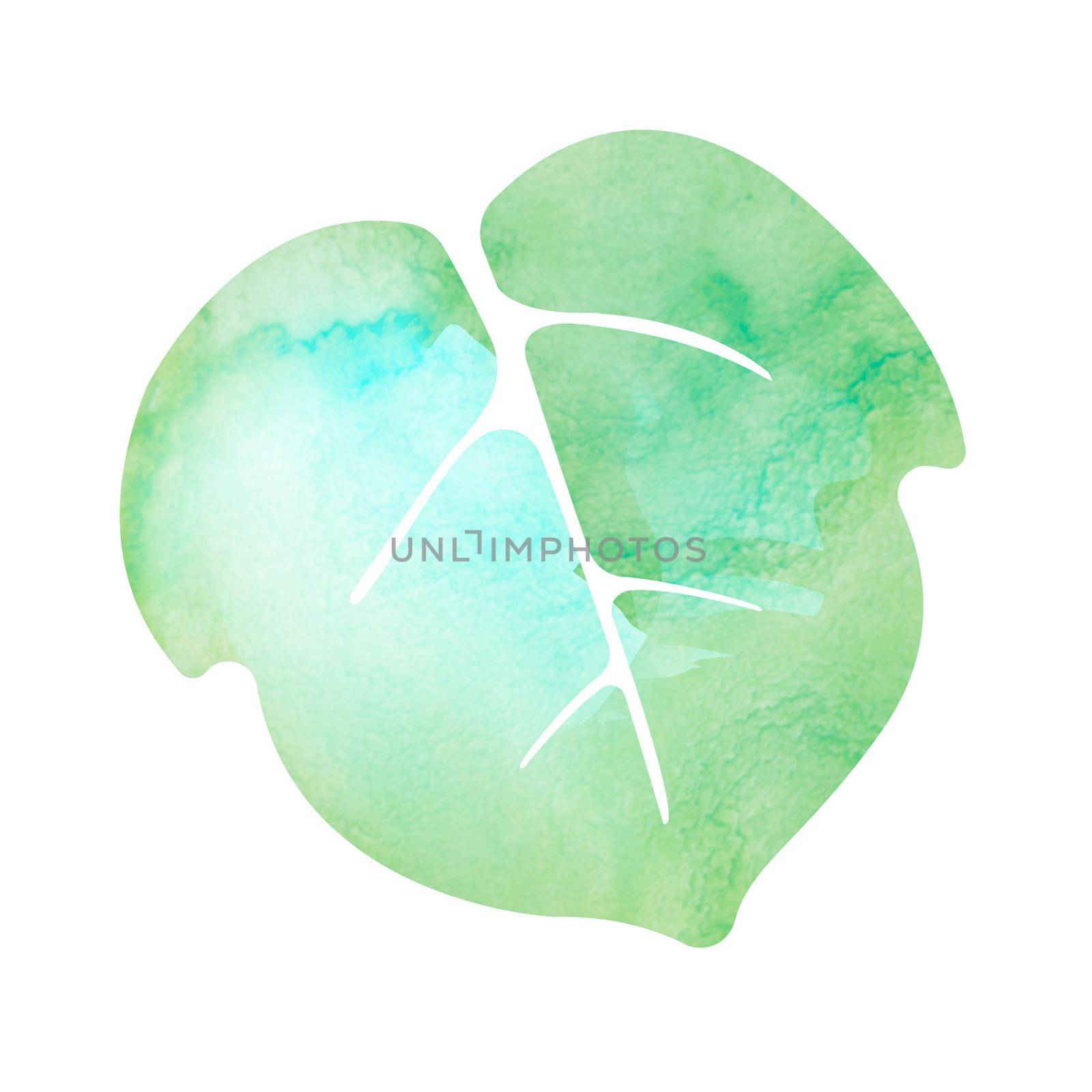 Summer motif watercolor painting illustration for summer greeting card etc. | morning glory leaf by barks