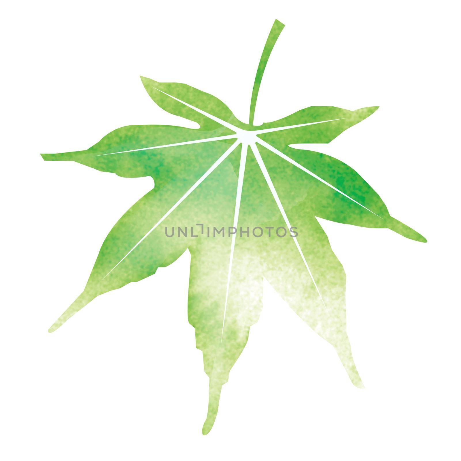 Summer motif watercolor painting illustration for summer greeting card etc. | maple leaf by barks