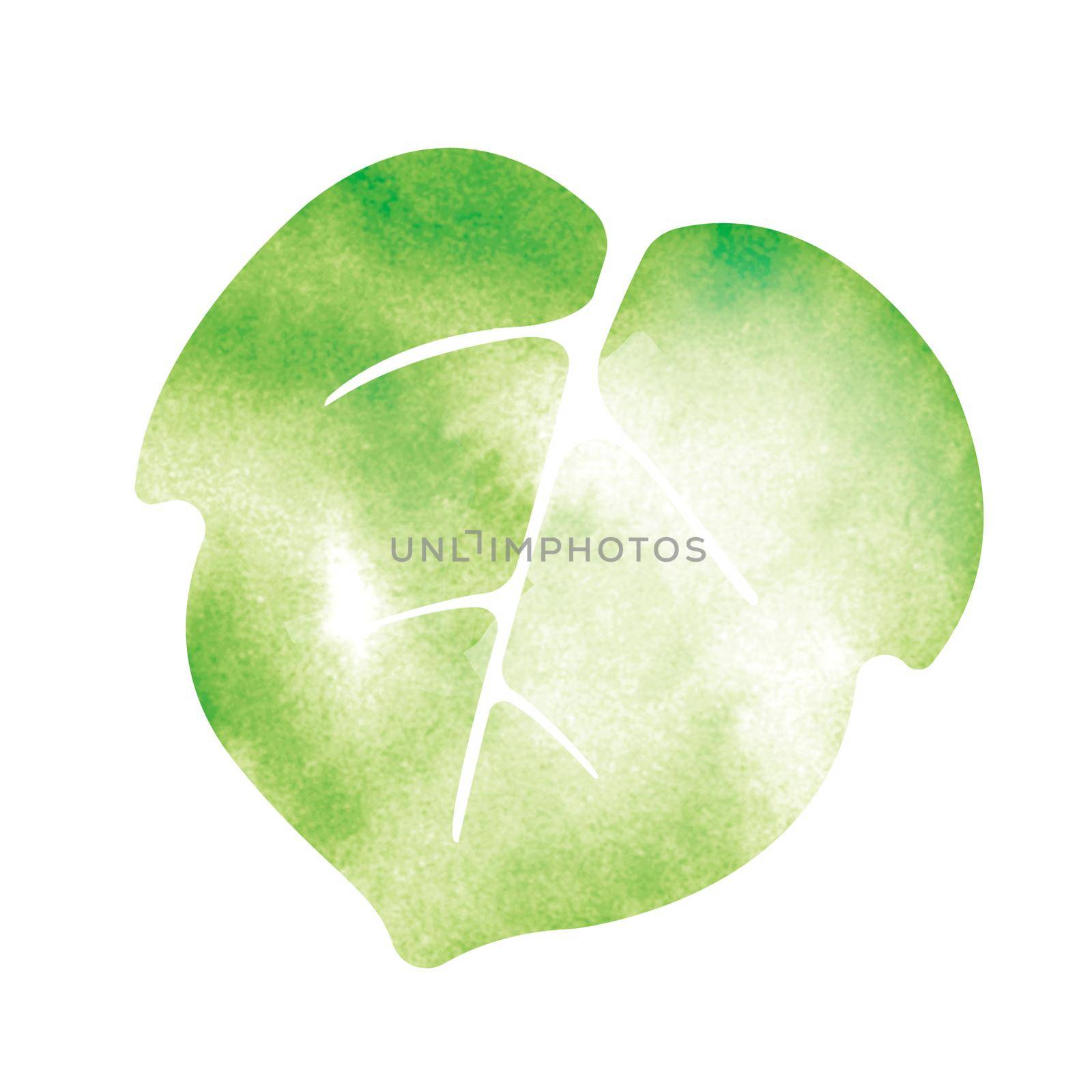 Summer motif watercolor painting illustration for summer greeting card etc. | morning glory leaf