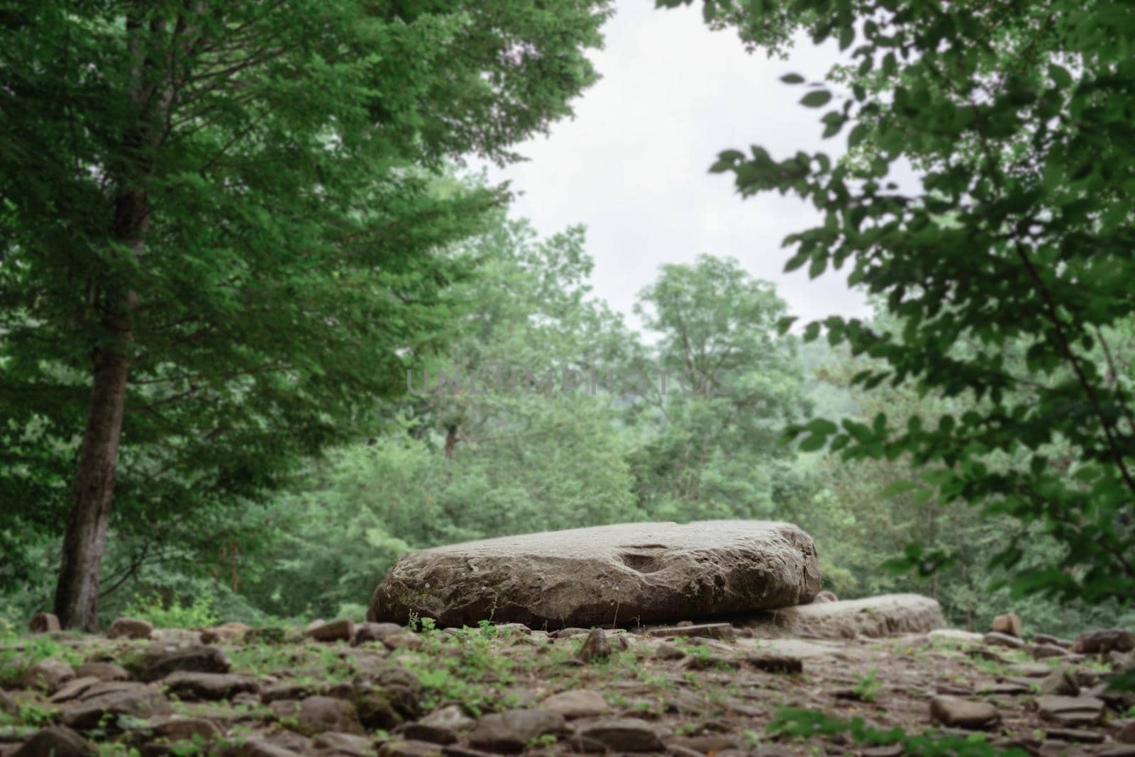 Big rock for meditation in a green forest by Desperada