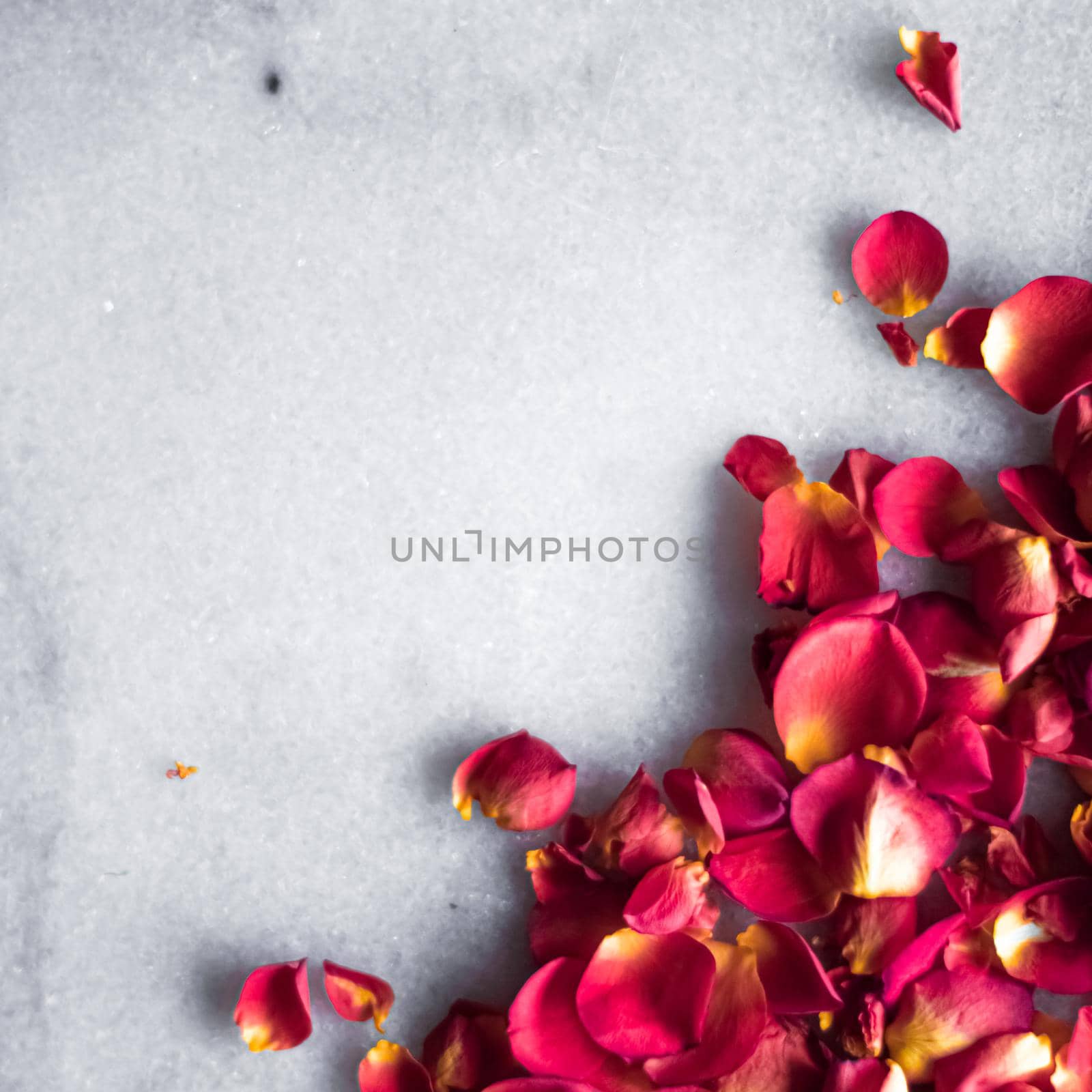 Rose petals on marble background, floral decor and wedding flatlay, holiday greeting card backdrop for event invitation, flat lay design.