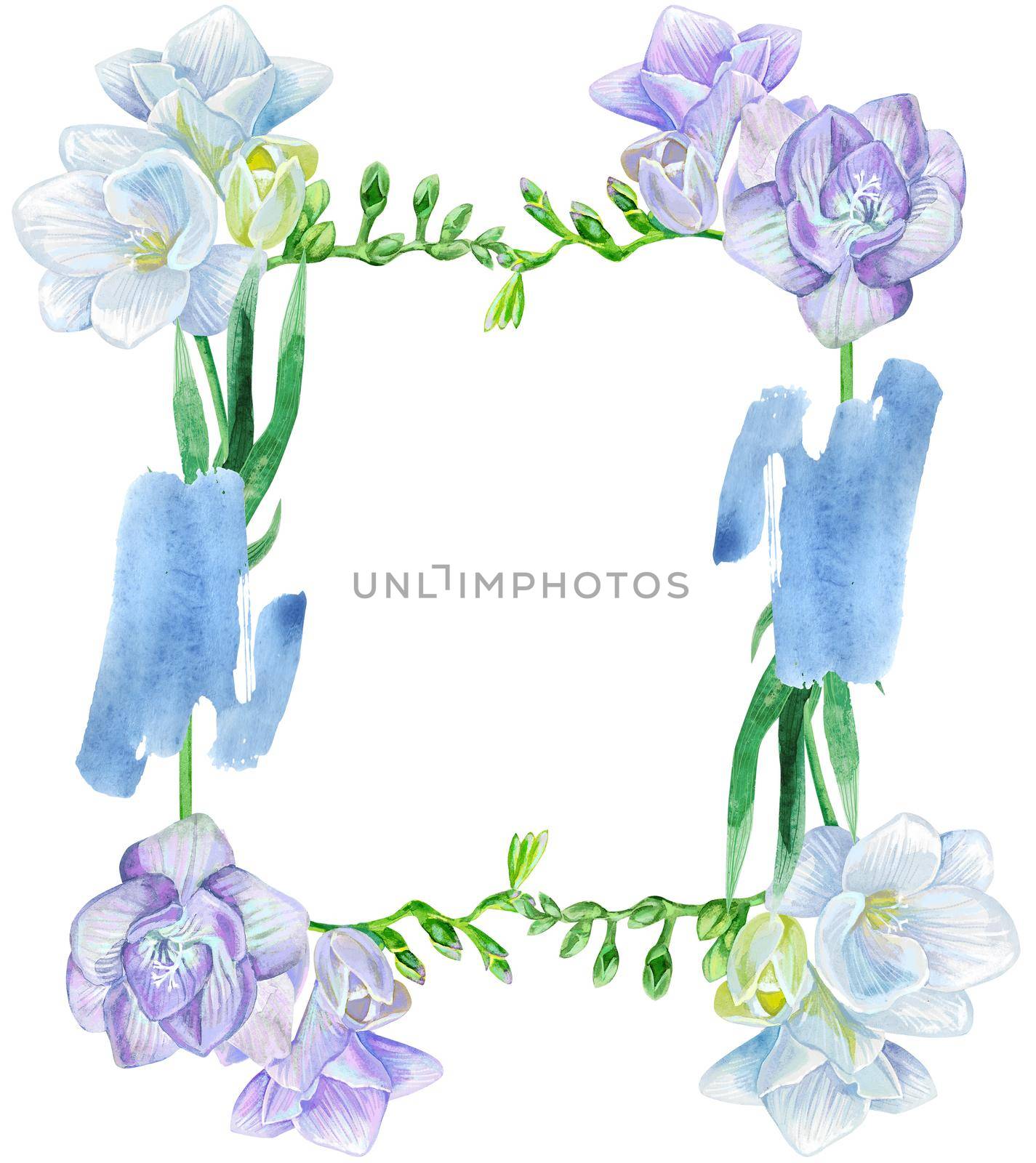Frame from watercolor white and violet freesia flower. Silhouette, petal. by NataOmsk