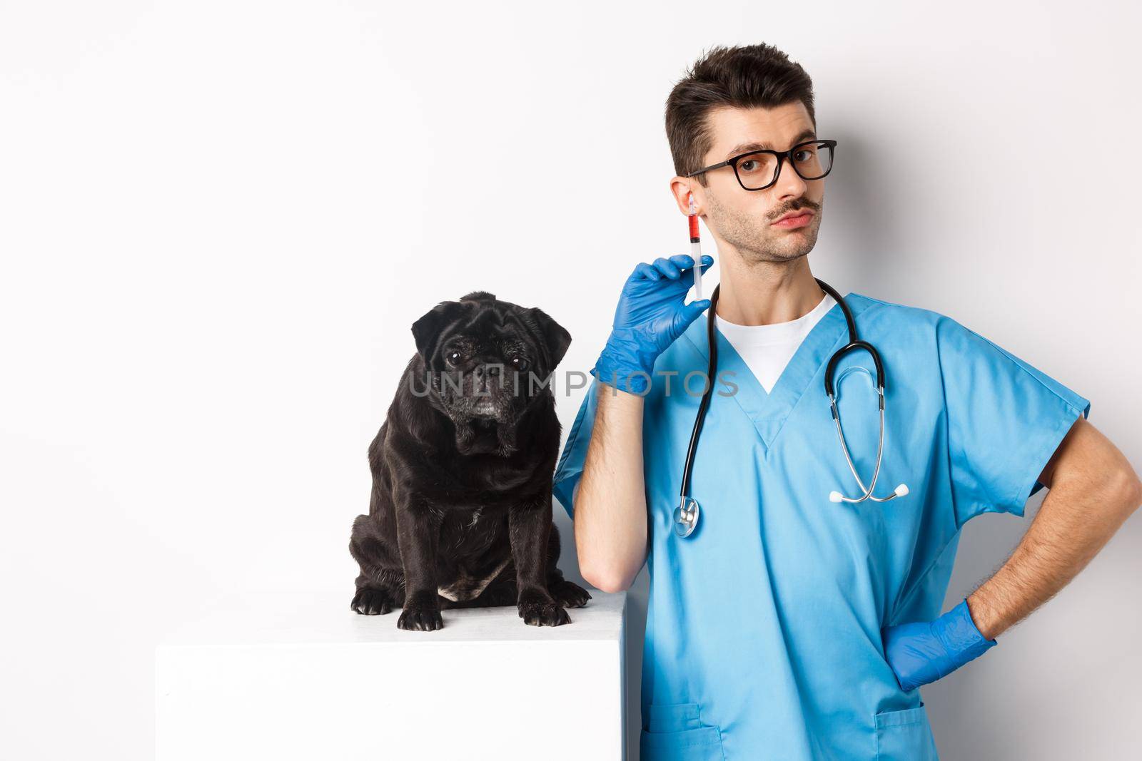 Handsome doctor veterinarian holding syringe and standing near cute black pug, vaccinating dog, white background by Benzoix