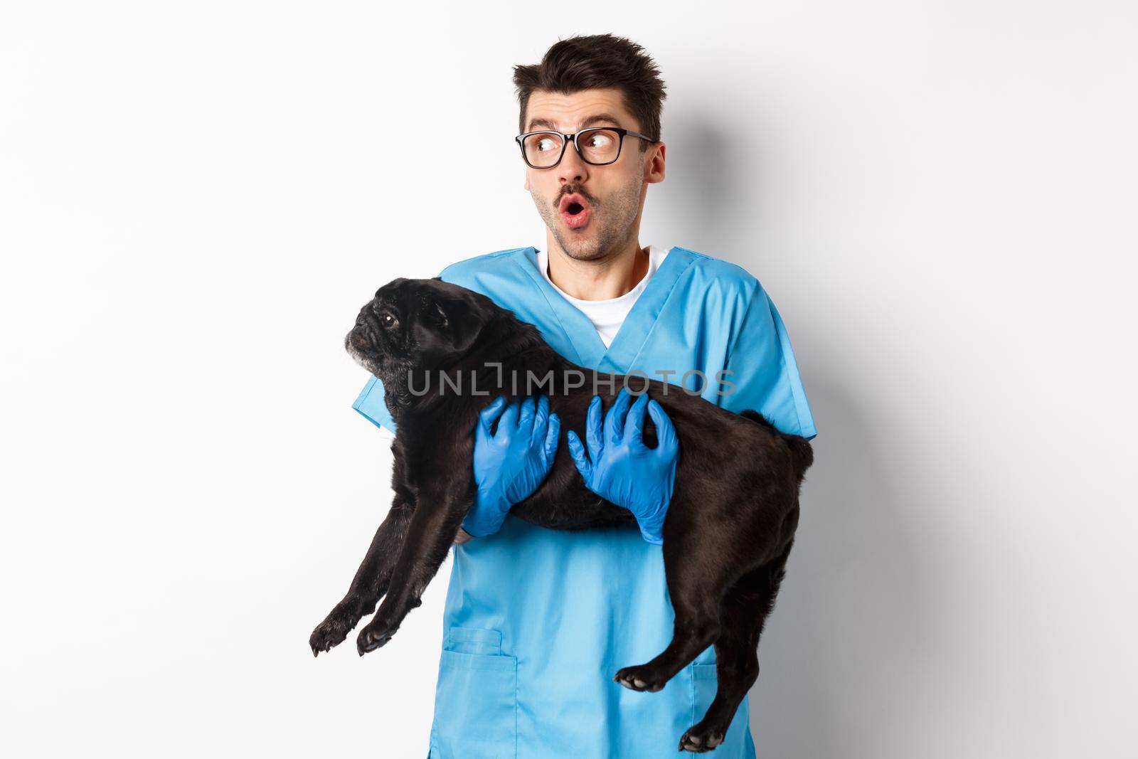 Vet clinic concept. Amazed male doctor veterinarian holding cute black pug dog, smiling and staring left impressed, standing over white background.