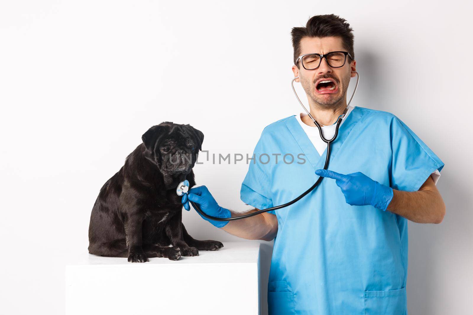 Sad male vet doctor examining cute little dog pug with stethoscope, pointing at pet and crying, standing over white background by Benzoix