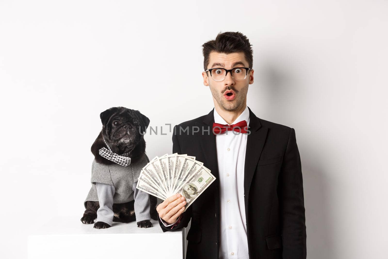 Amazed young man in party suit, standing near cute black pug dog in costume, entertained holding money dollars, standing over white background.