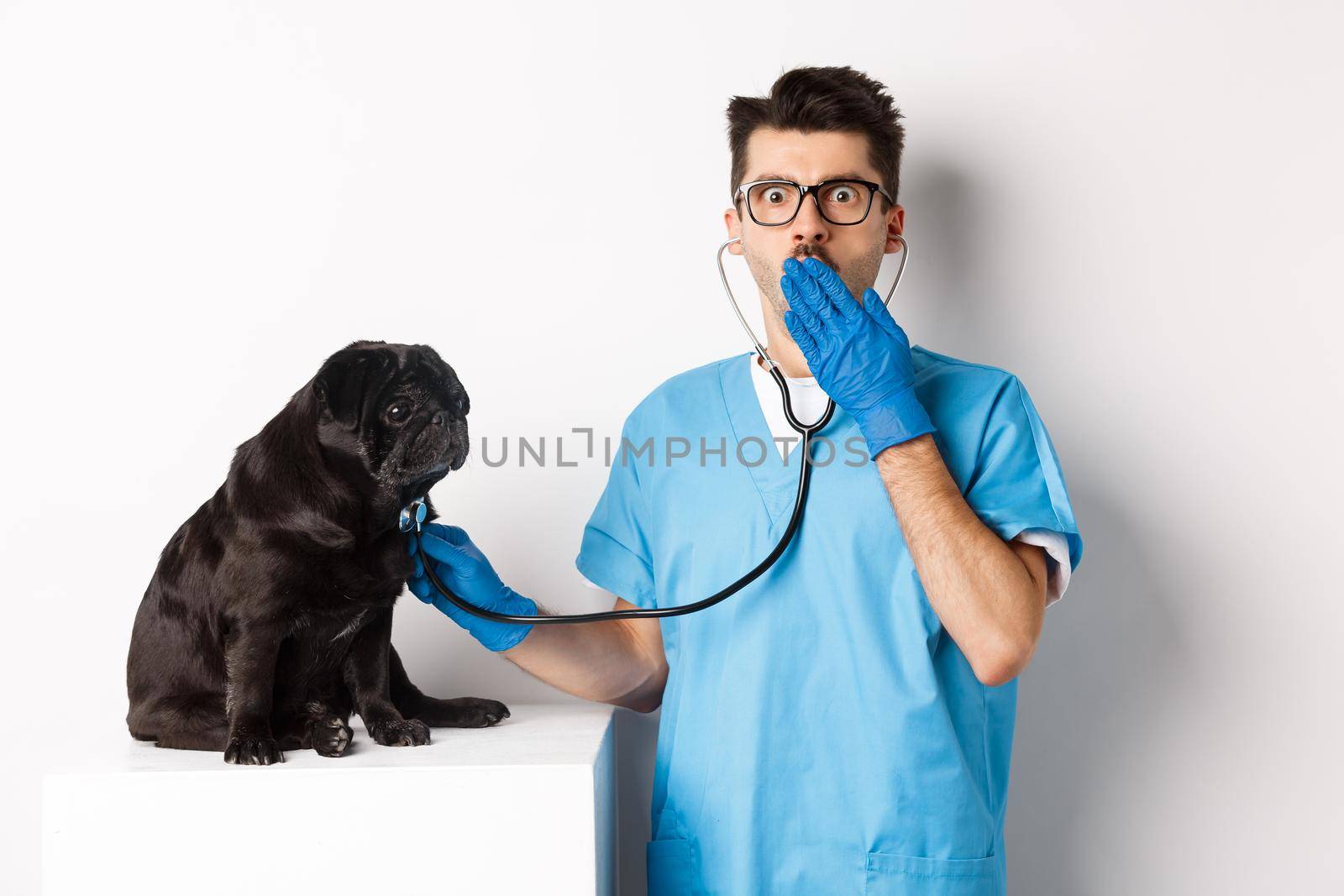 Shocked doctor in vet clinic examining dog with stethoscope, gasping amazed at camera while cute black pug sitting still on table, white background.