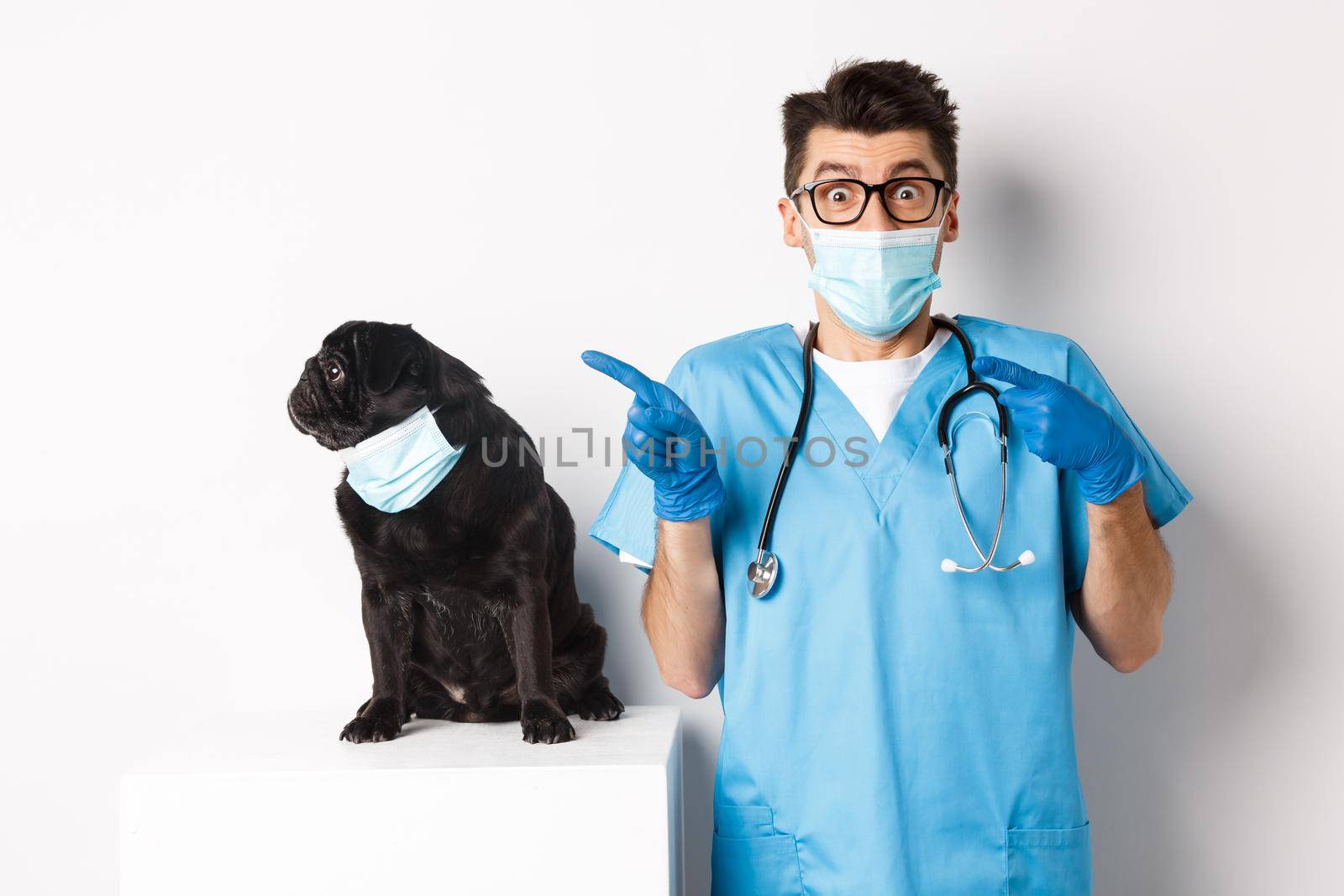 Small black pug dog in medical mask looking left at copy space while sitting near doctor veterinarian in vet clinic, standing over white background.