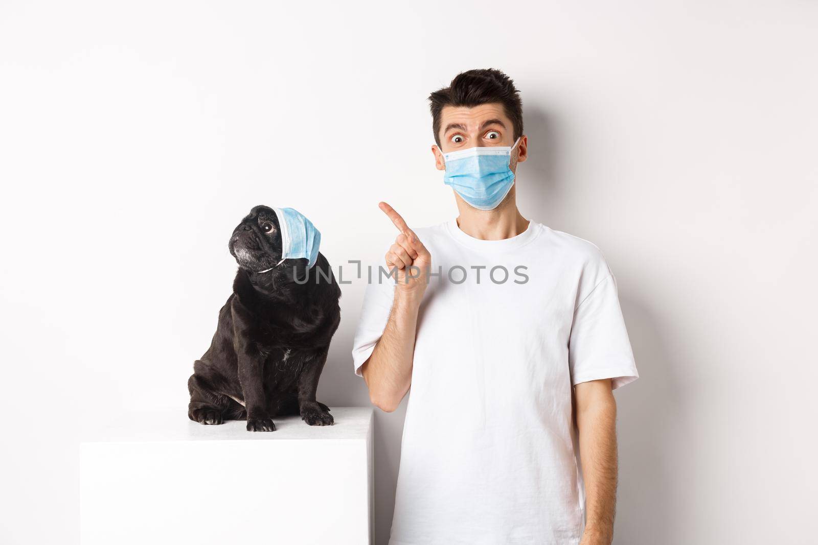 Covid-19, animals and quarantine concept. Dog owner and cute black pug wearing medical masks, man pointing and puppy staring at upper left corner, white background by Benzoix