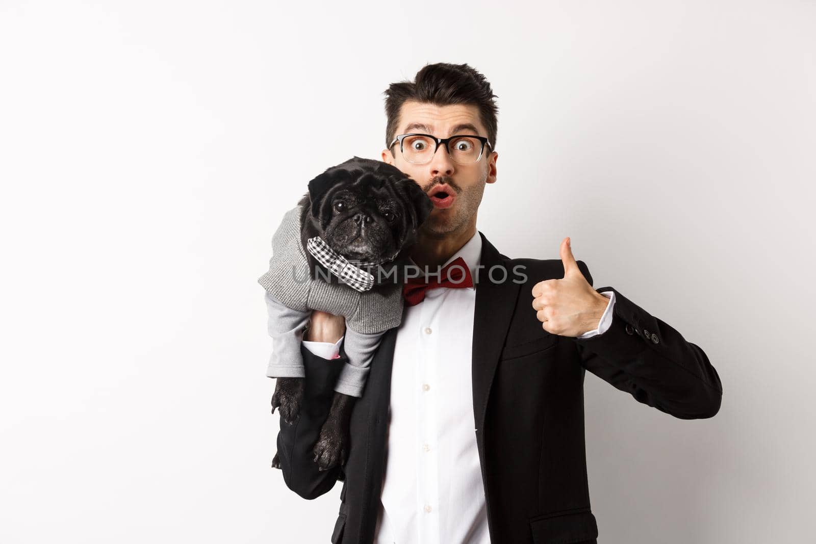 Happy young hipster in suit and glasses, showing thumb-up, holding cute black dog on shoulder, love his pug, standing over white background.