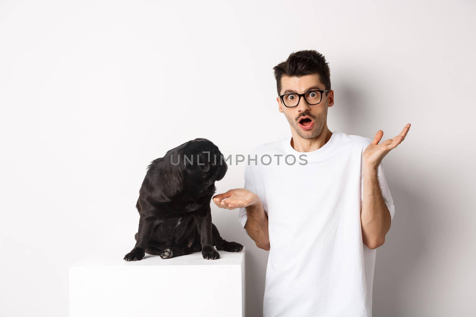 Image of funny black pug looking at his confused owner, man shrugging puzzled, standing over white background.
