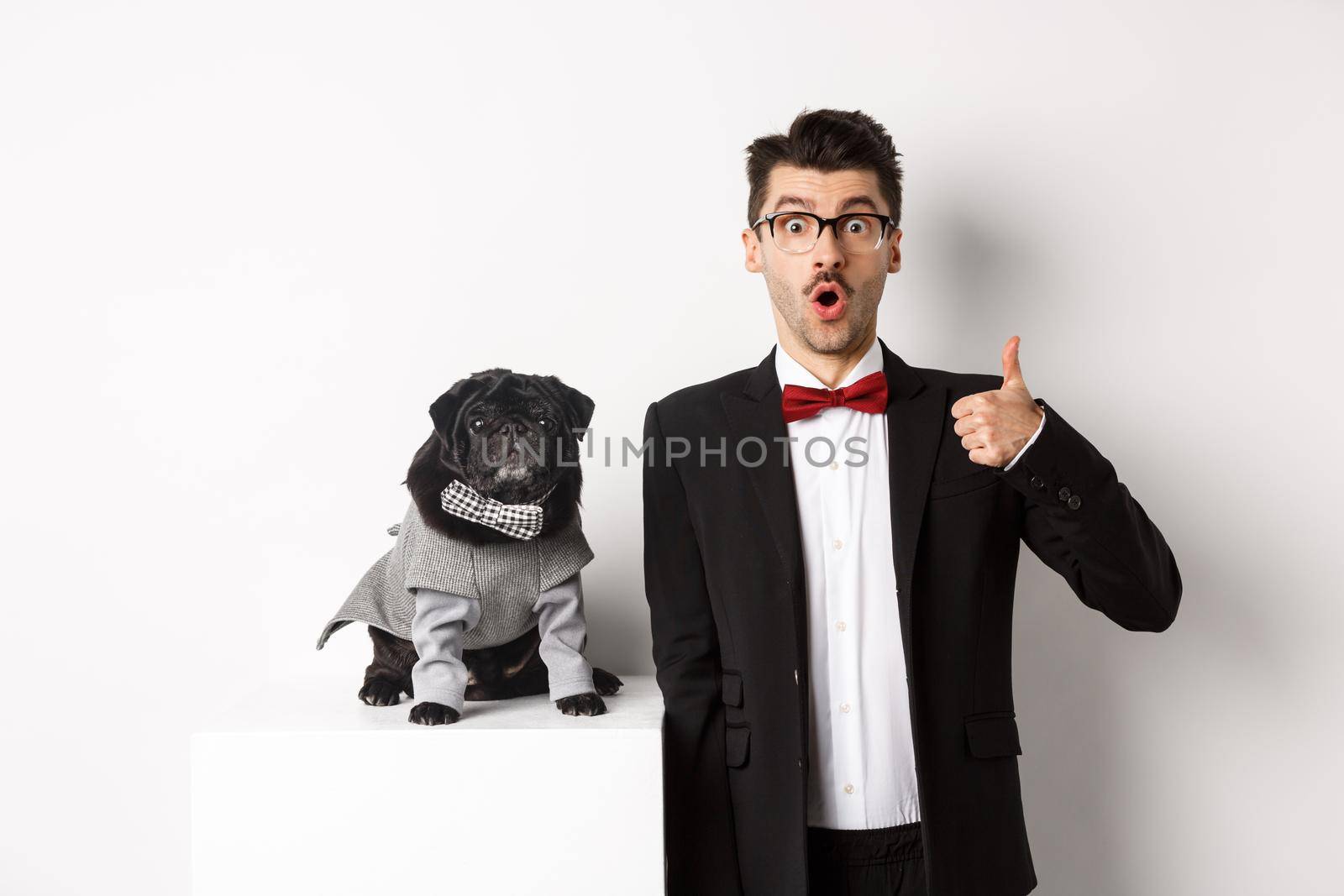 Animals, party and celebration concept. Handsome young man in suit and cute black pug in costume staring at camera, owner showing thumb up in approval and praise, white background.