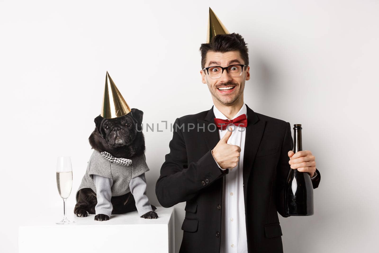 Small black dog wearing party hat and standing near happy man celebrating holiday, owner showing thumb-up and holding champagne bottle, white background.