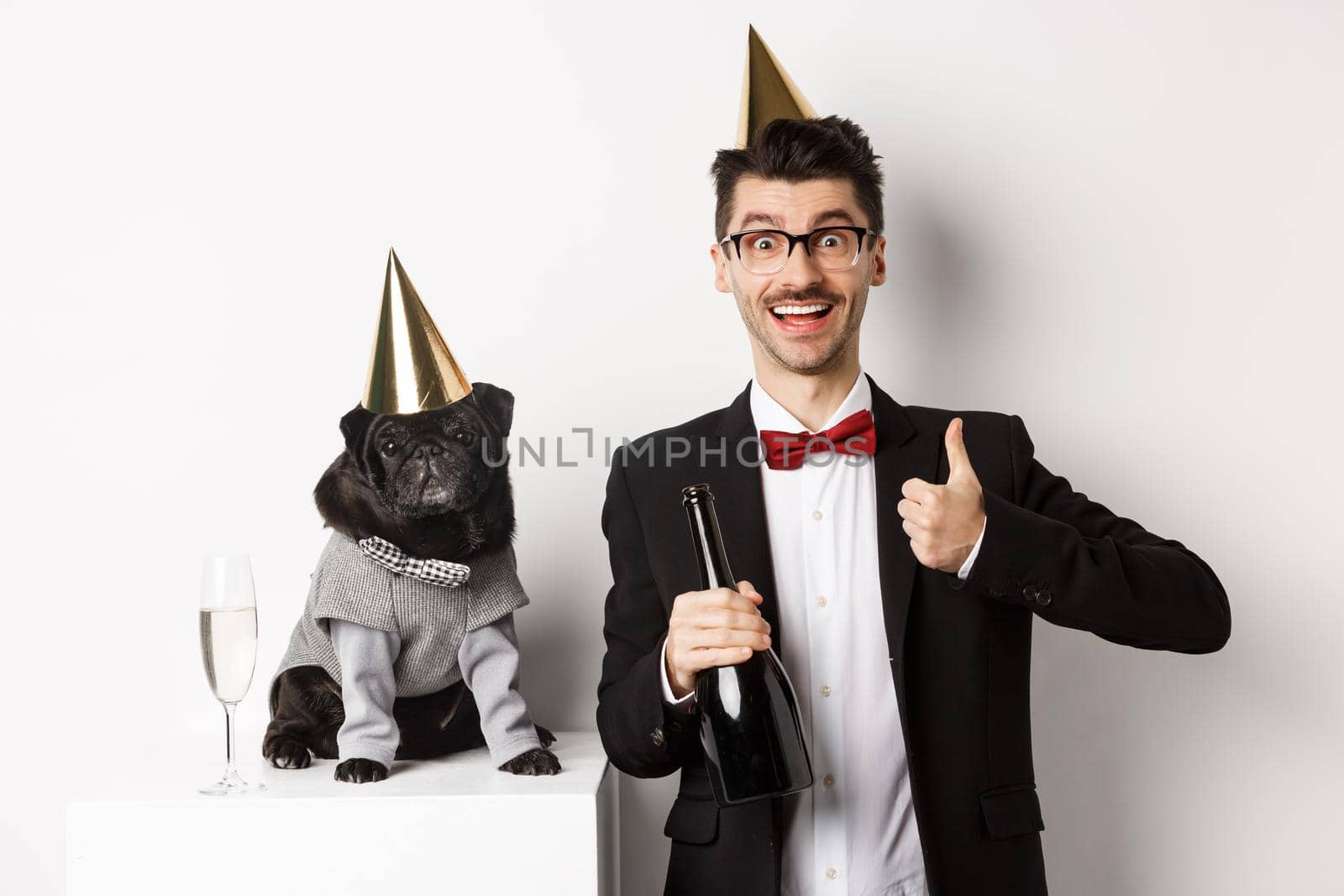Small black dog wearing party hat and standing near happy man celebrating holiday, owner showing thumb-up and holding champagne bottle, white background.