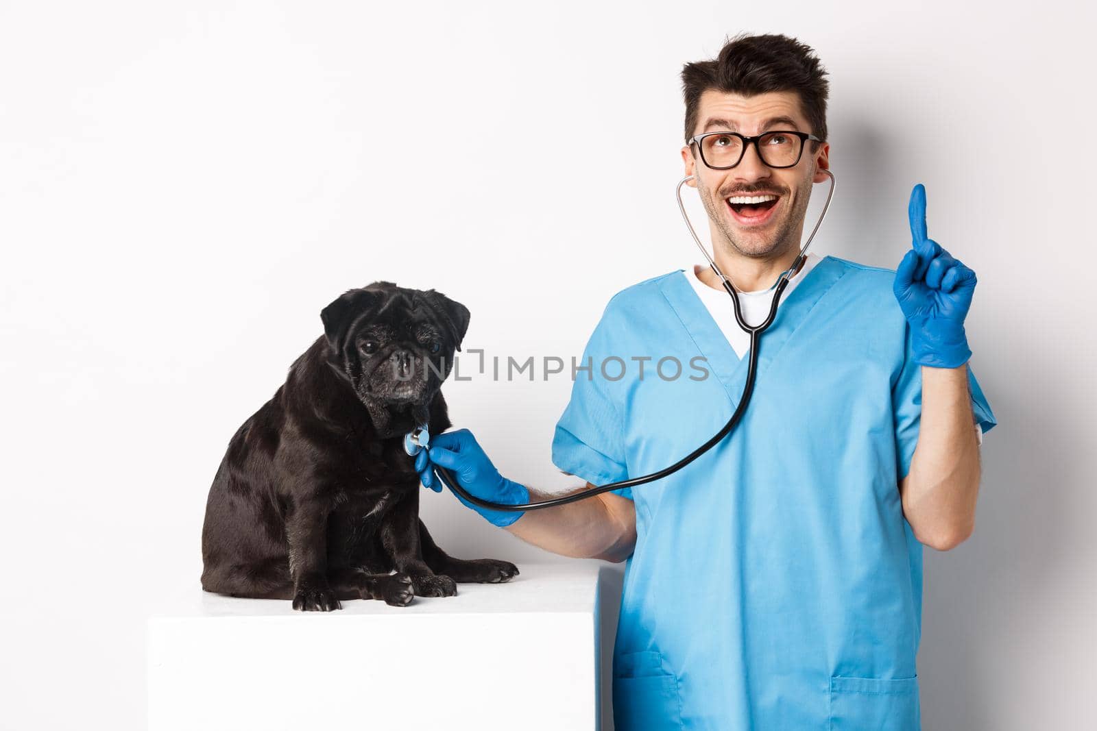 Handsome doctor veterinarian smiling, examining pet in vet clinic, checking pug dog with stethoscope, pointing finger up at promo banner, white background by Benzoix