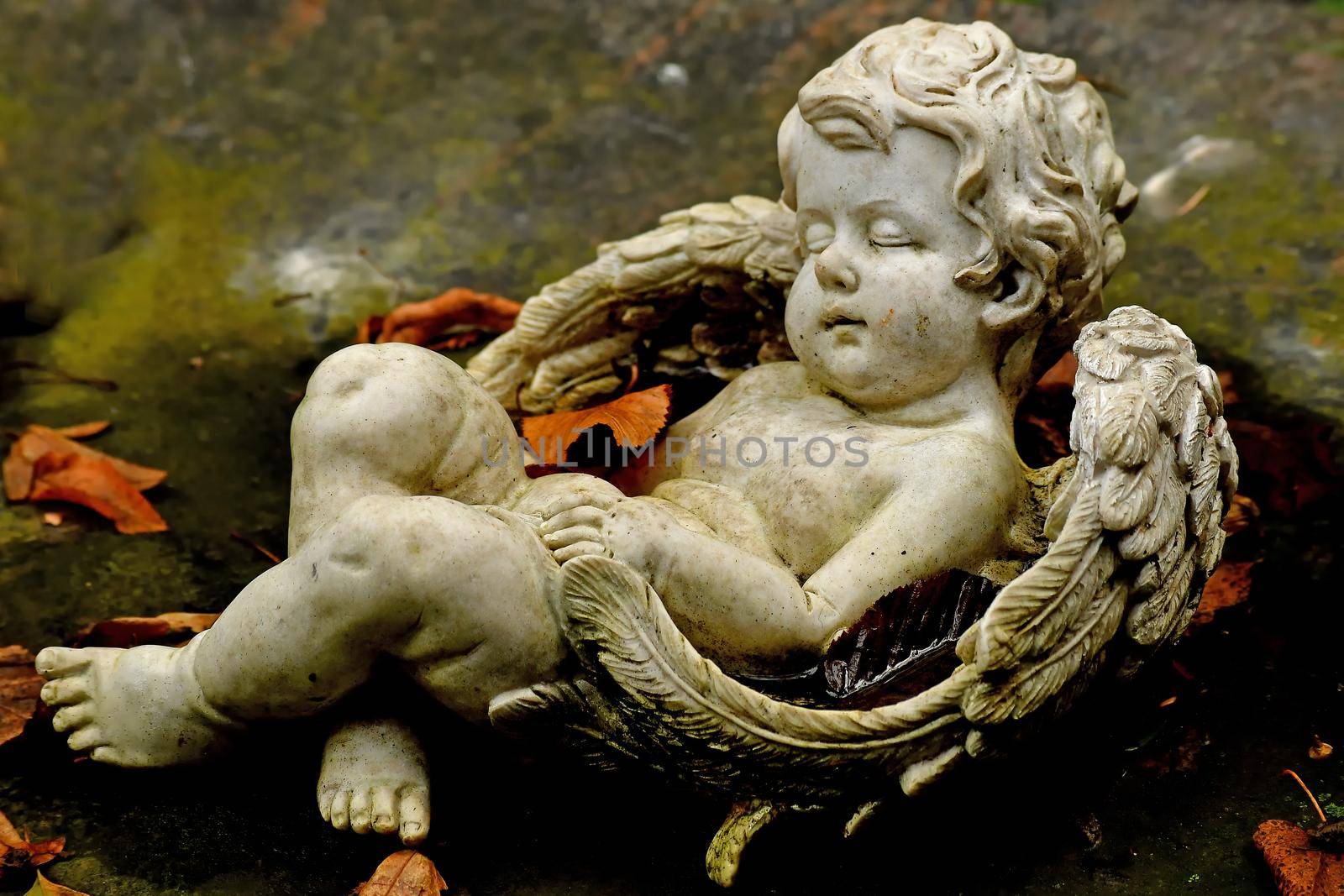 sweet angel figure on a grave in autumn with fallen leaves