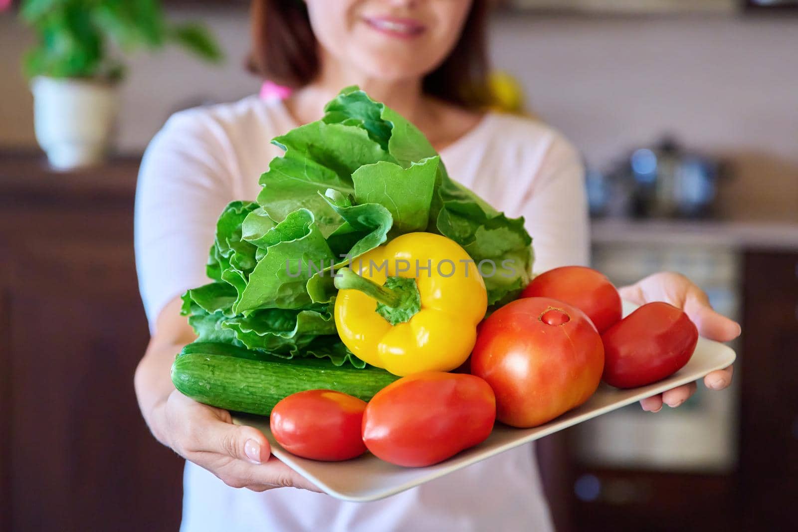 Close-up of a plate with tomatoes, cucumbers, paprika and lettuce in the hands of a woman by VH-studio