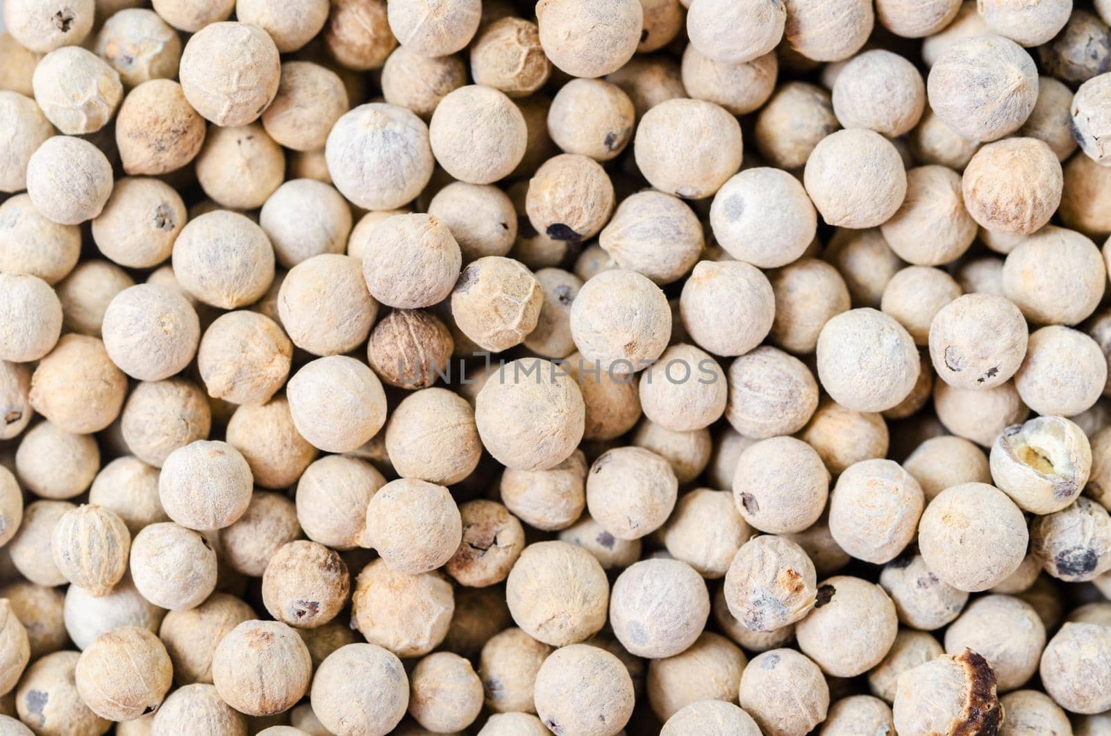 Dried white peppercorn seeds texture as background.