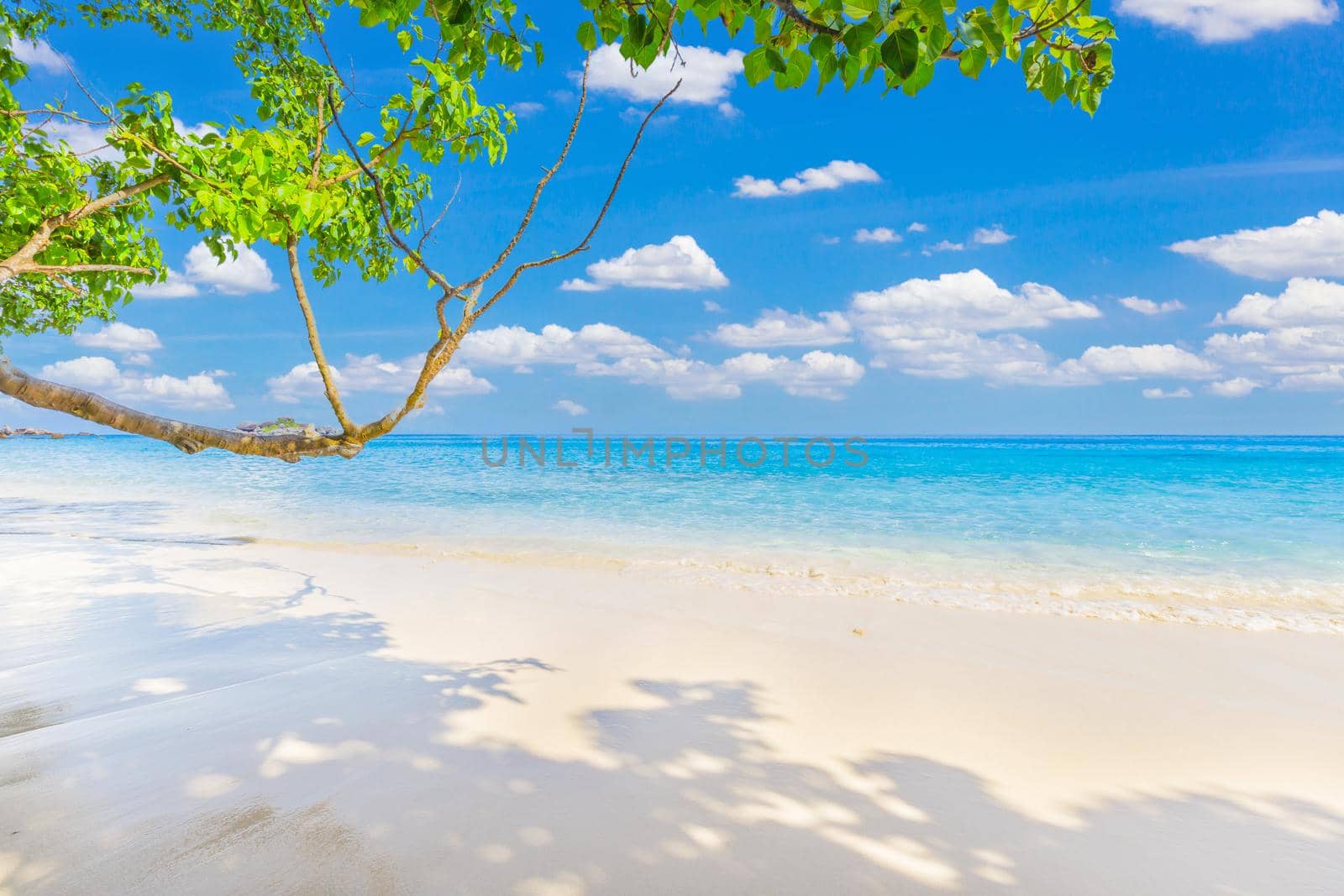 Beautiful sandy beach with wave crashing on sandy shore at Similan Islands Beautiful tropical sea Similan island No.4 at Similan national park, Phang nga Thailand