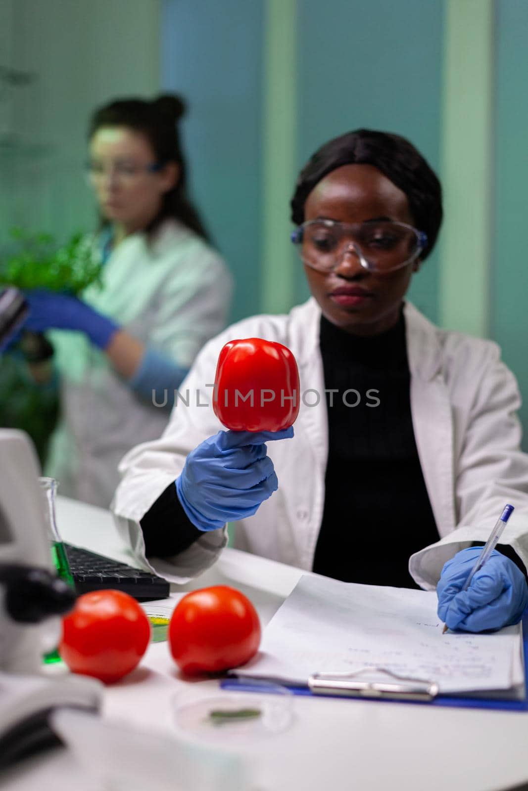 African american chemist reseacher doctor analyzing pepper injected with pesticides for scientific agriculture expertise. Biologist scientist working at farming experiment in microbiology laboratory