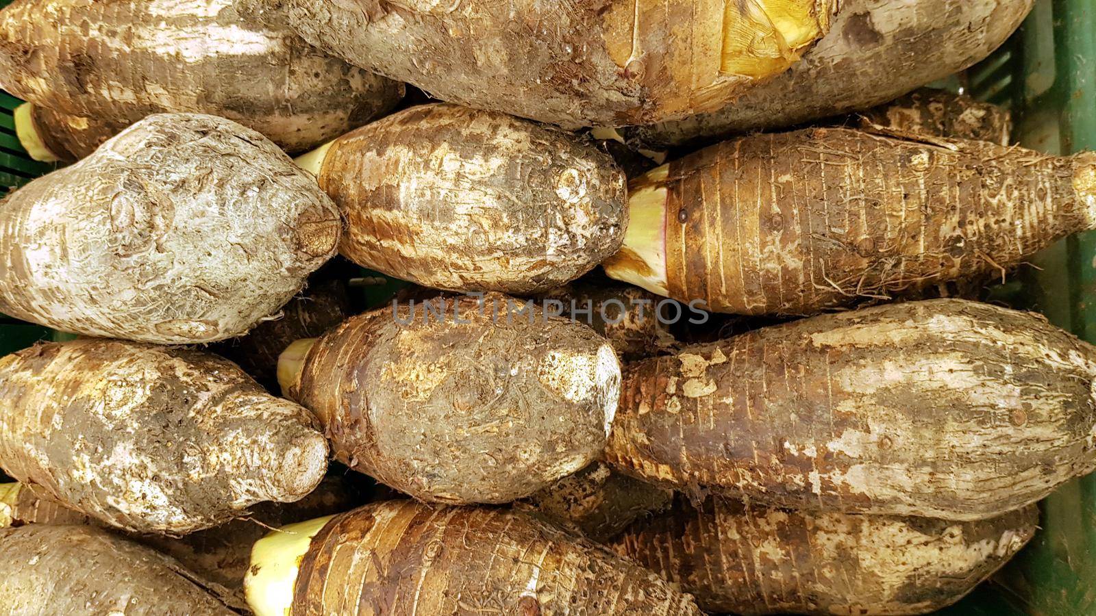 Taro are arranged in a row for sale in a grocery store.