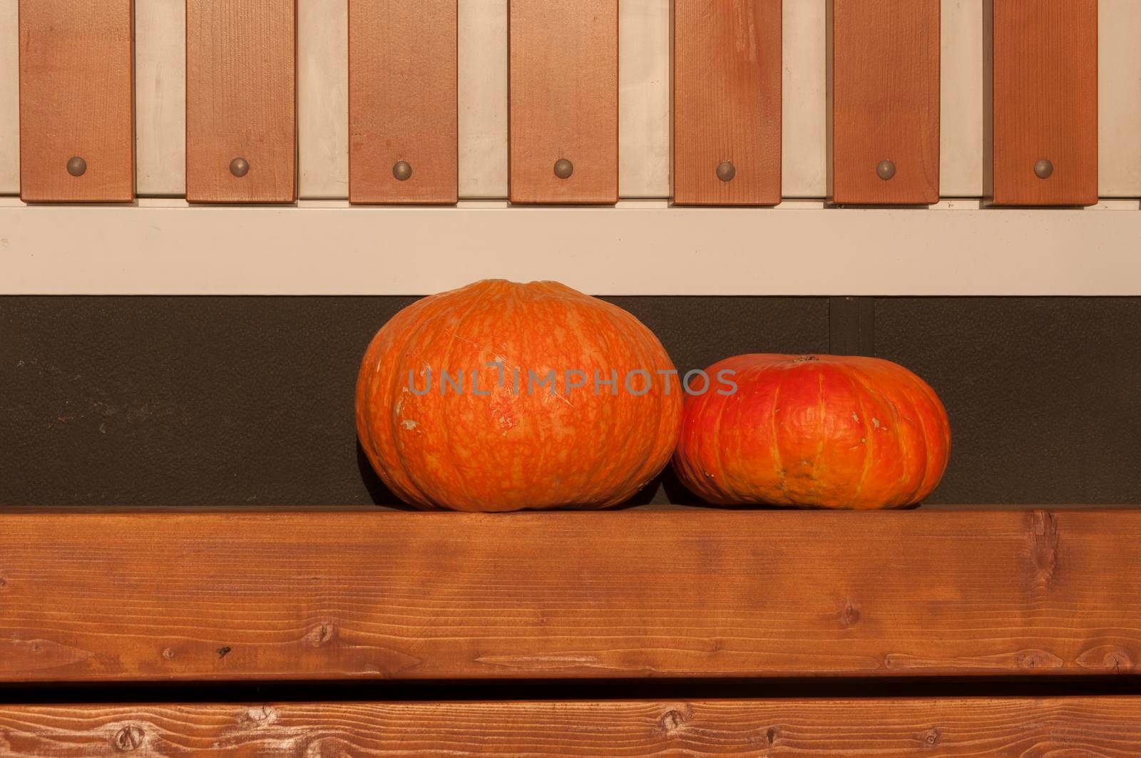 Autumn background. Ripe pumpkins  on wooden background. Thanksgiving and halloween concept. by inxti